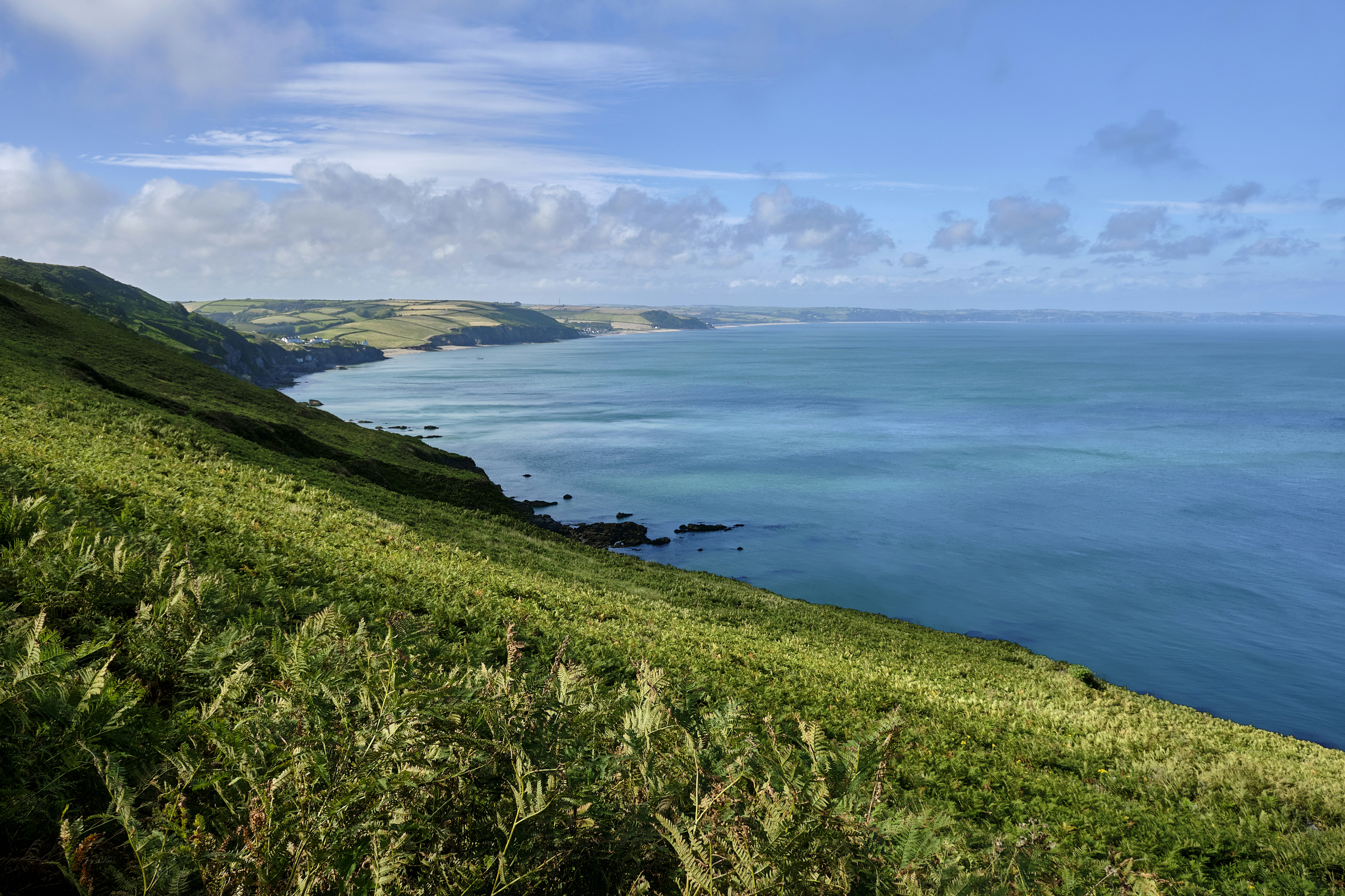 green grass field near body of water during daytime