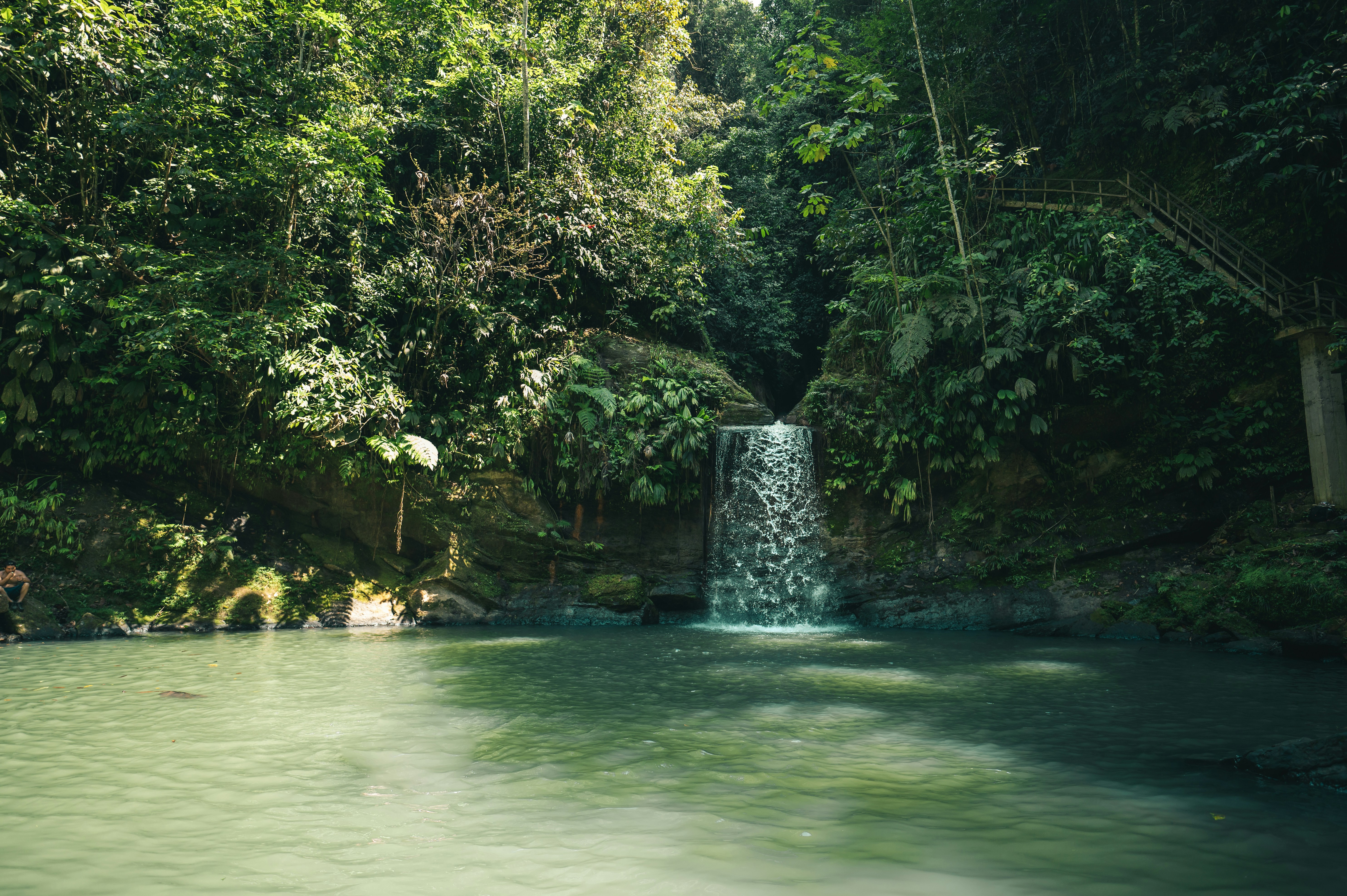 green trees beside body of water during daytime