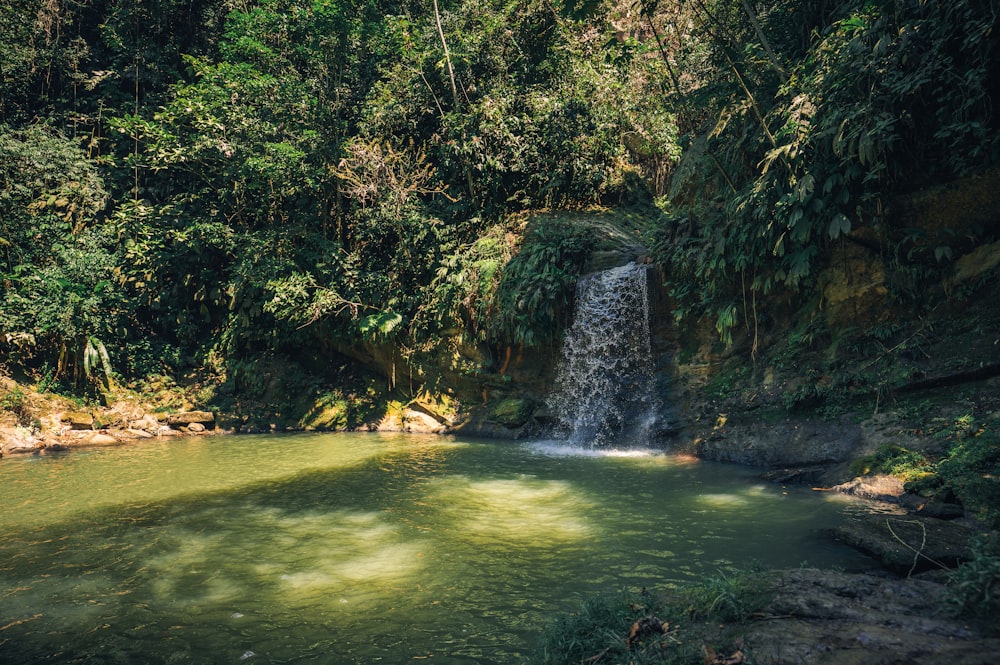 green grass and green trees near waterfalls during daytime