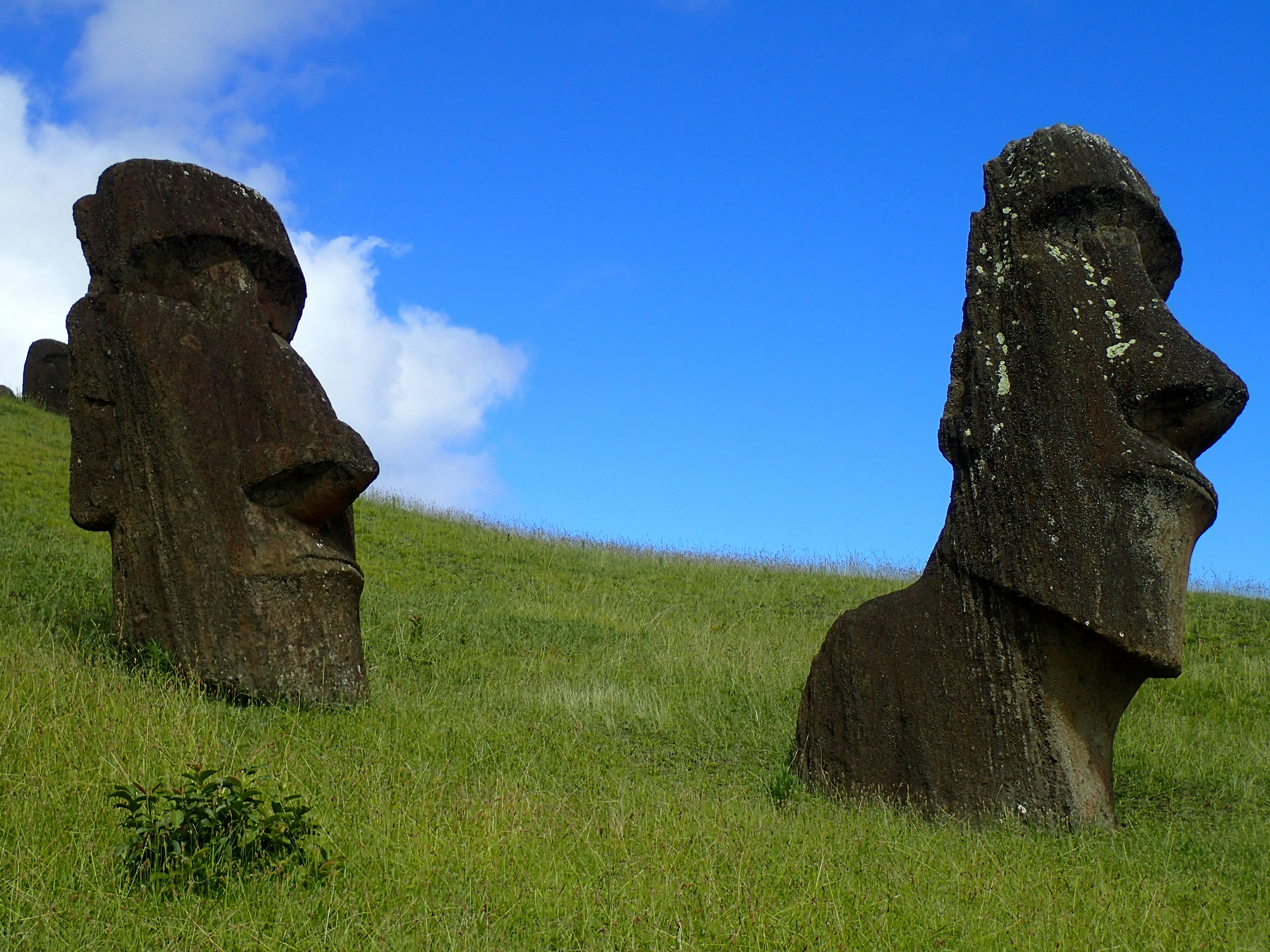 brown rock formation on green grass field under blue sky during daytime