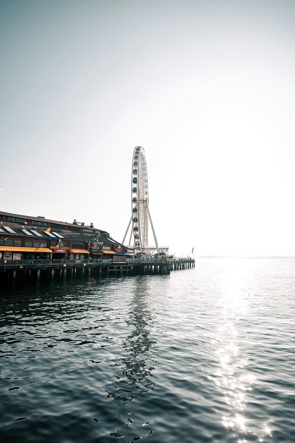 brown wooden dock on sea during daytime