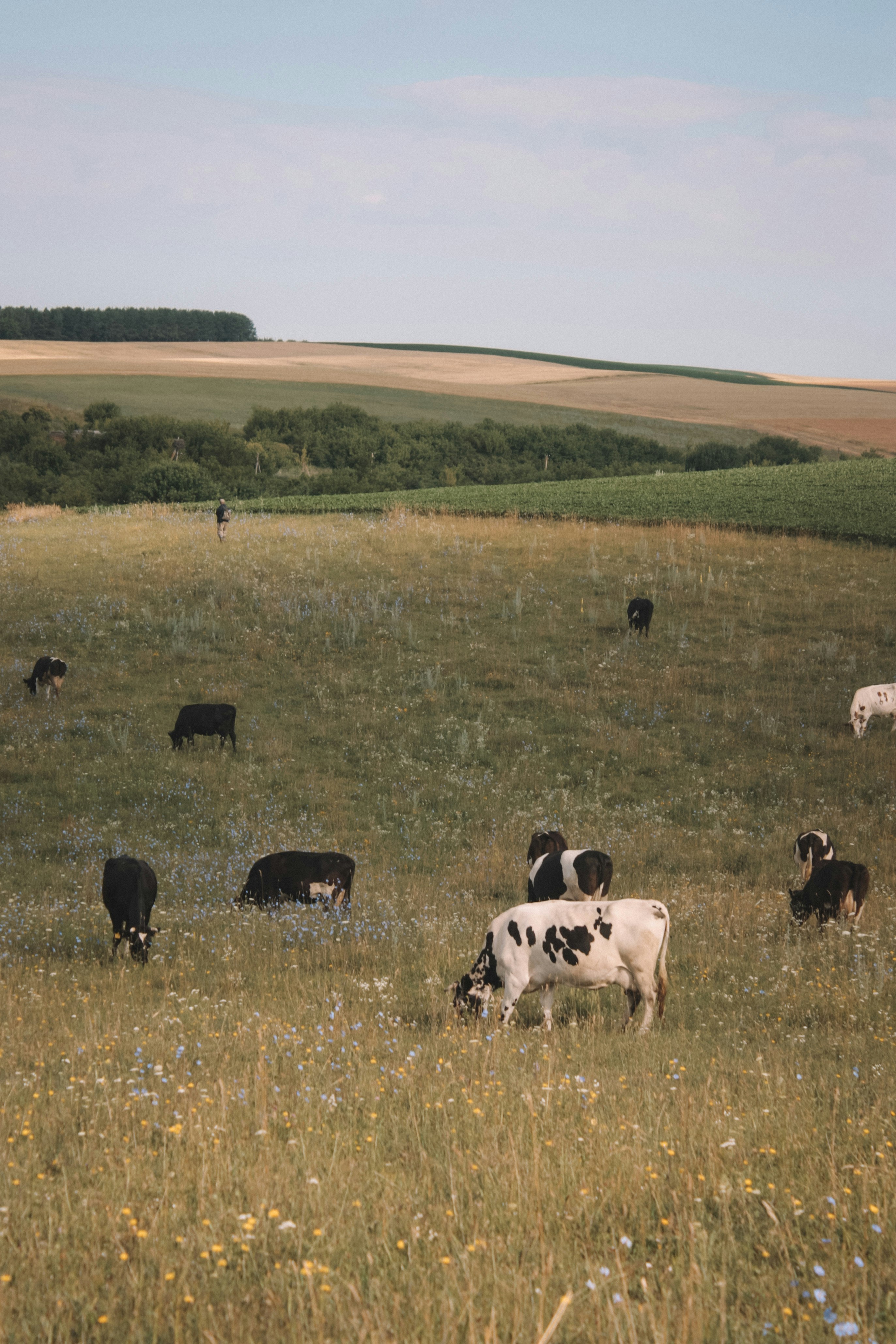 Photo by heroin_cccc