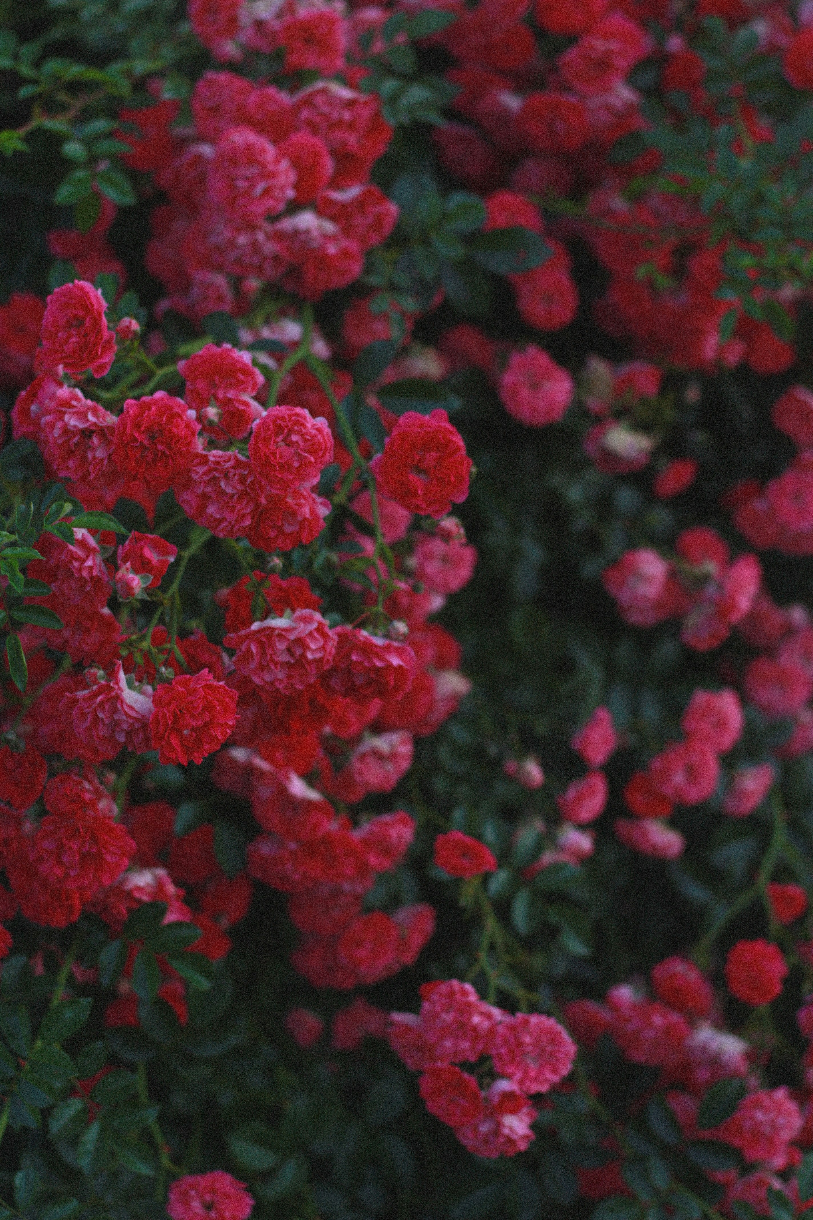 Photo by heroin_cccc