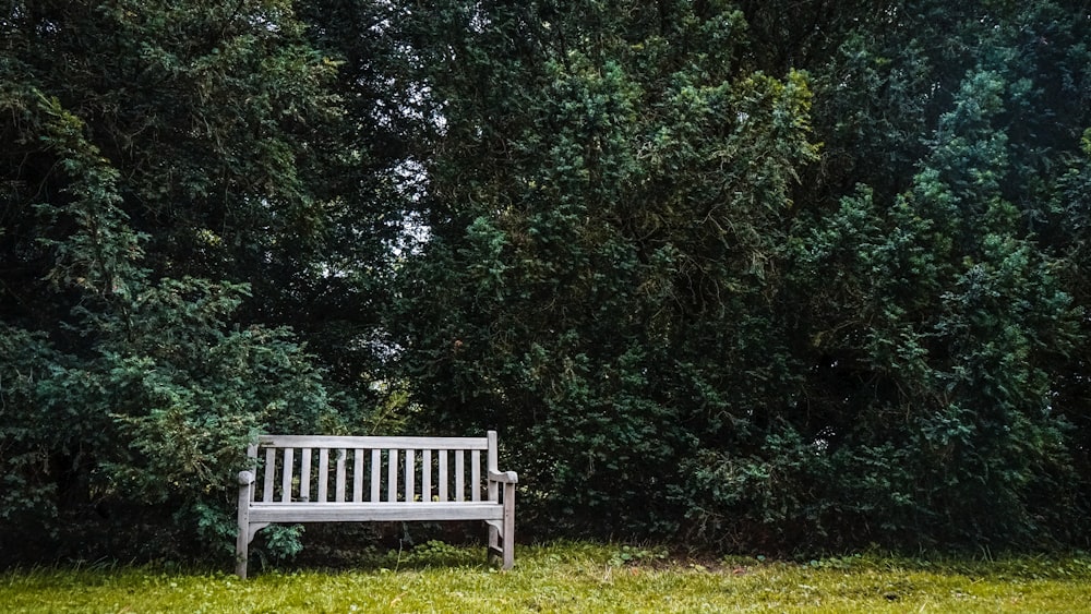 white wooden bench on green grass field