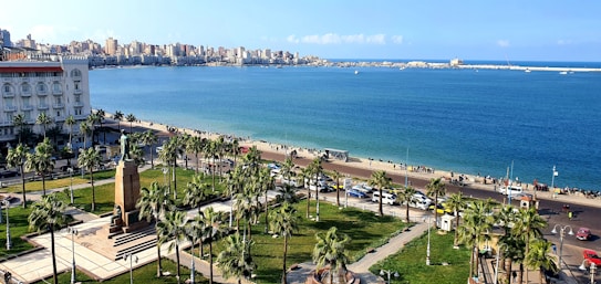 A waterfront cityscape with a wide view of the ocean. A promenade lined with palm trees and lush green grass. In the foreground, there is a monument surrounded by pathways. Numerous buildings line the background along the coast, under a clear blue sky.