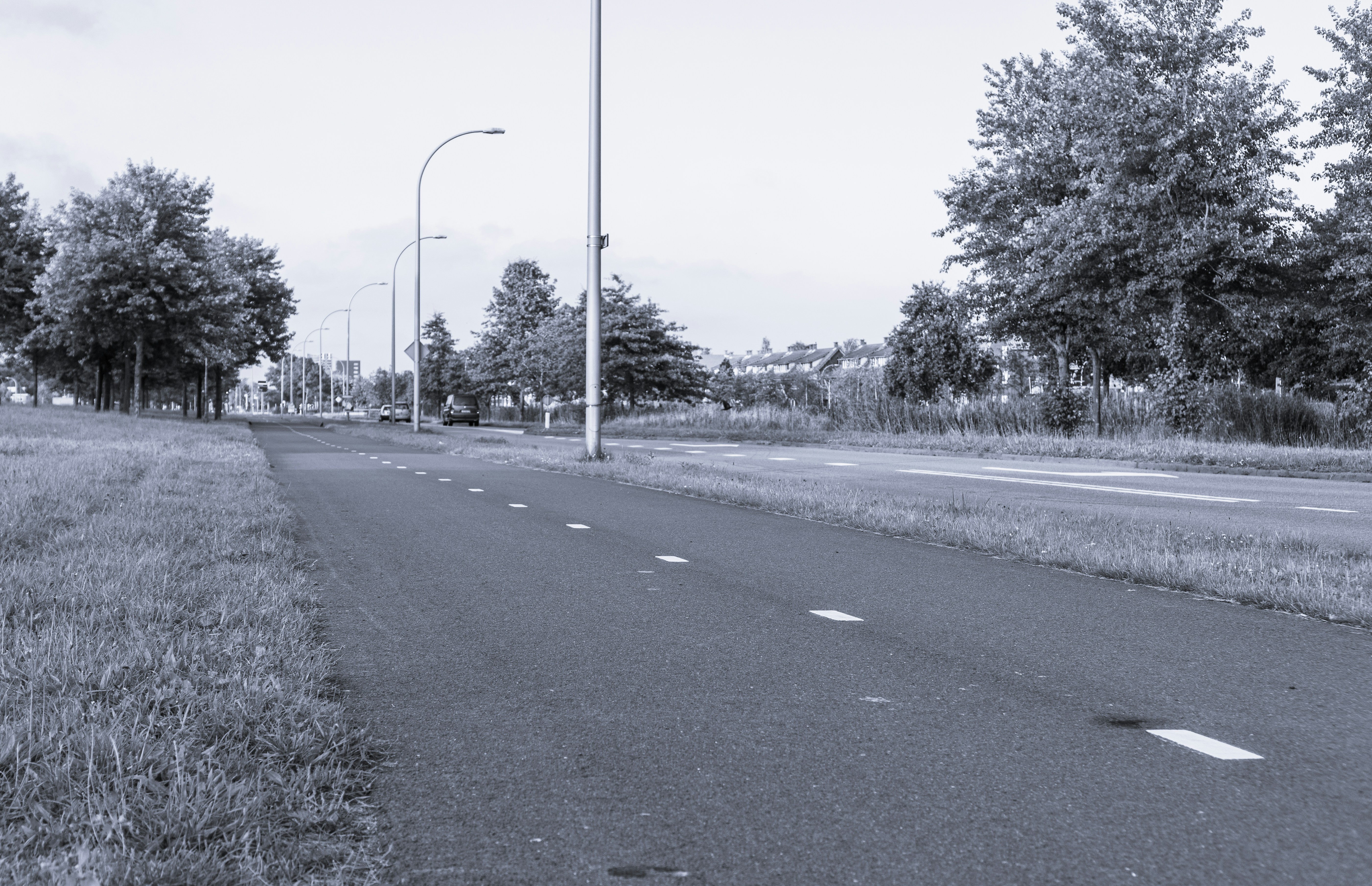 Photo by peter_felis