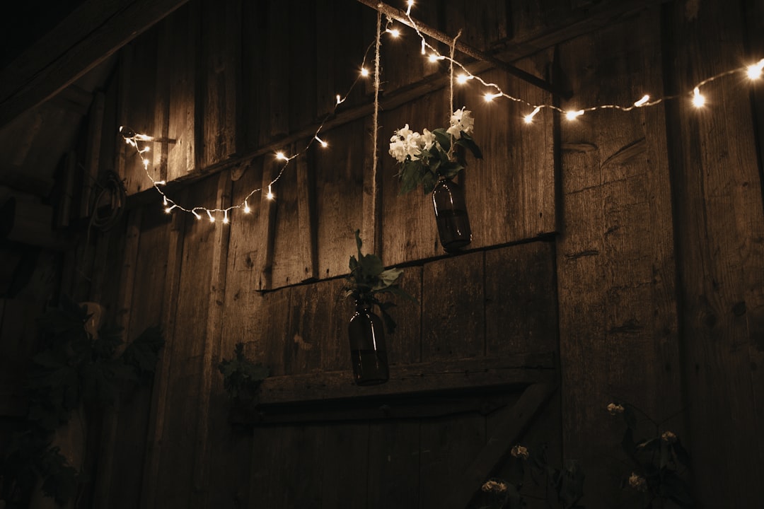 string lights hanging on brown wooden wall