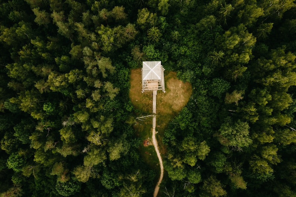 white basketball hoop on green forest during daytime