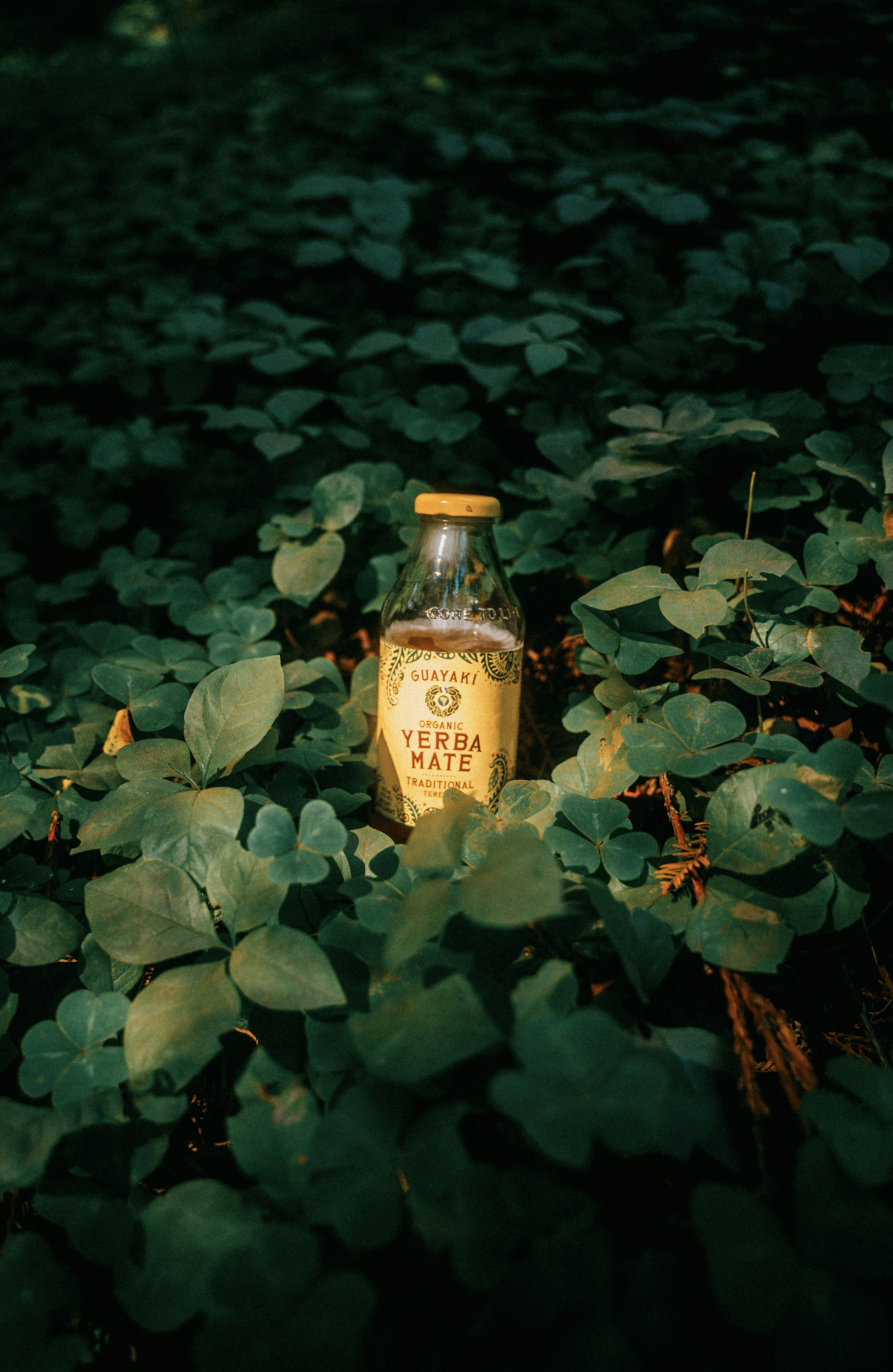 braune Glasflasche auf grünen Blättern