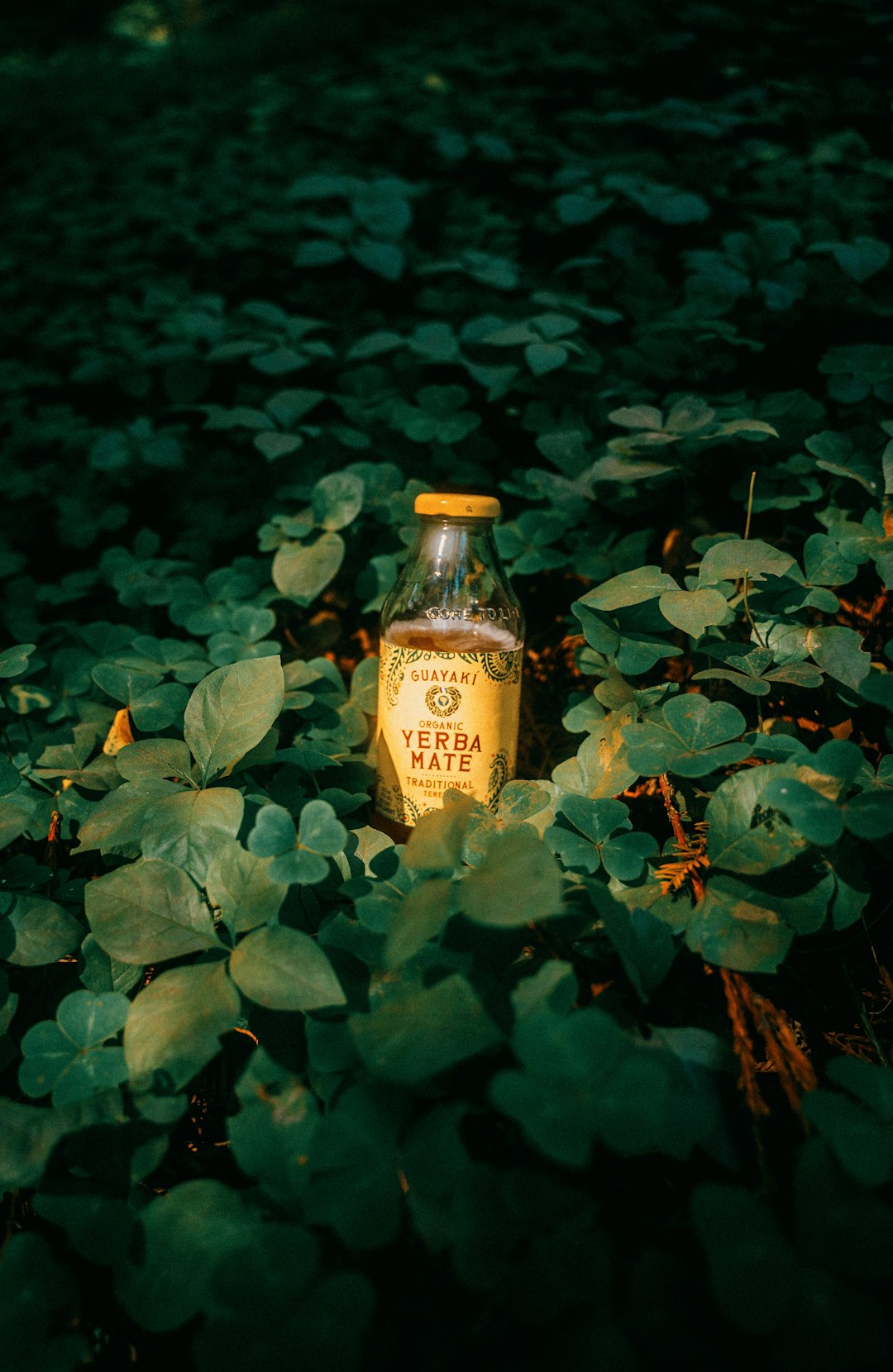 brown glass bottle on green leaves