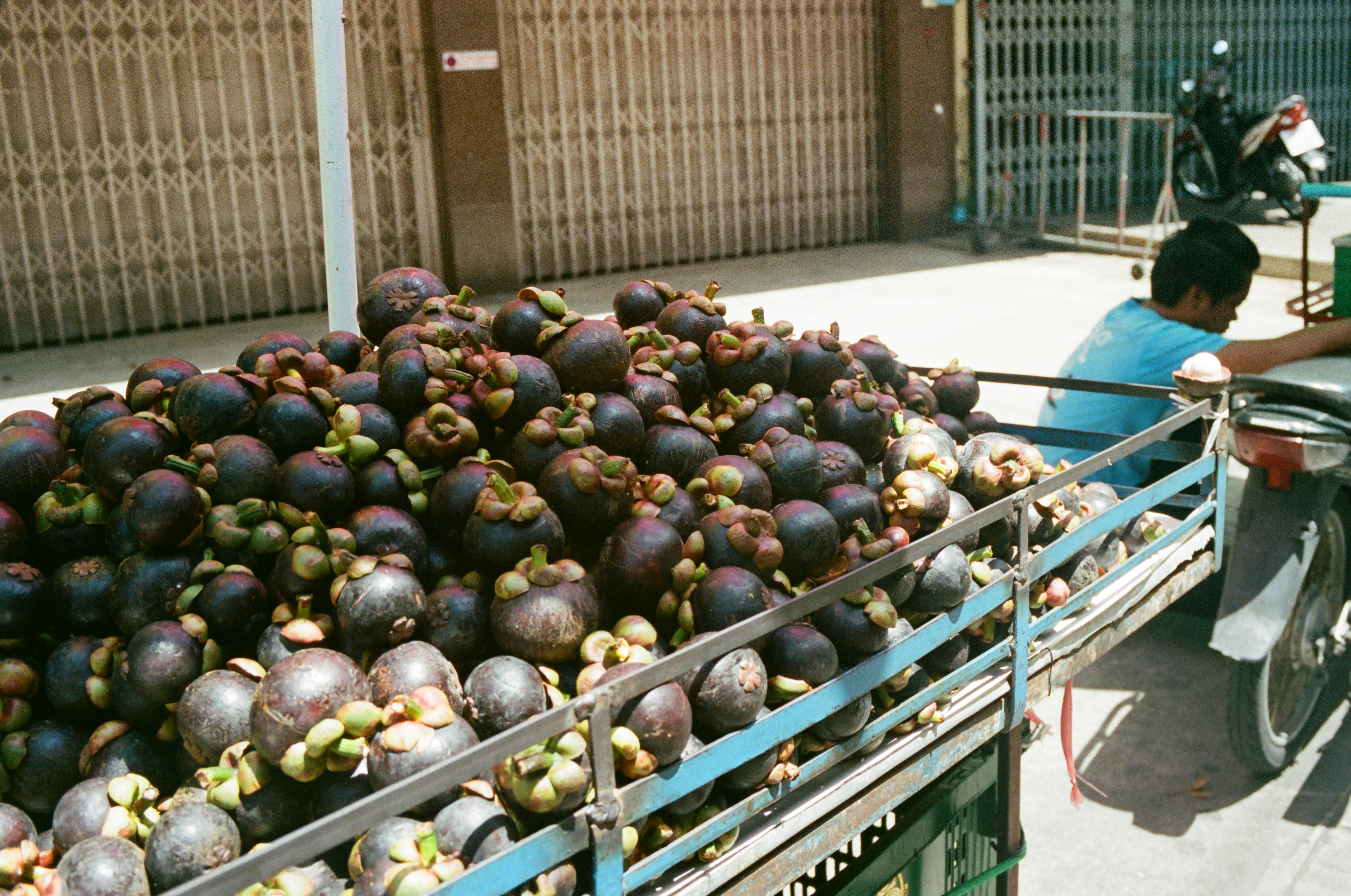 green and brown round fruit on blue wooden shelf