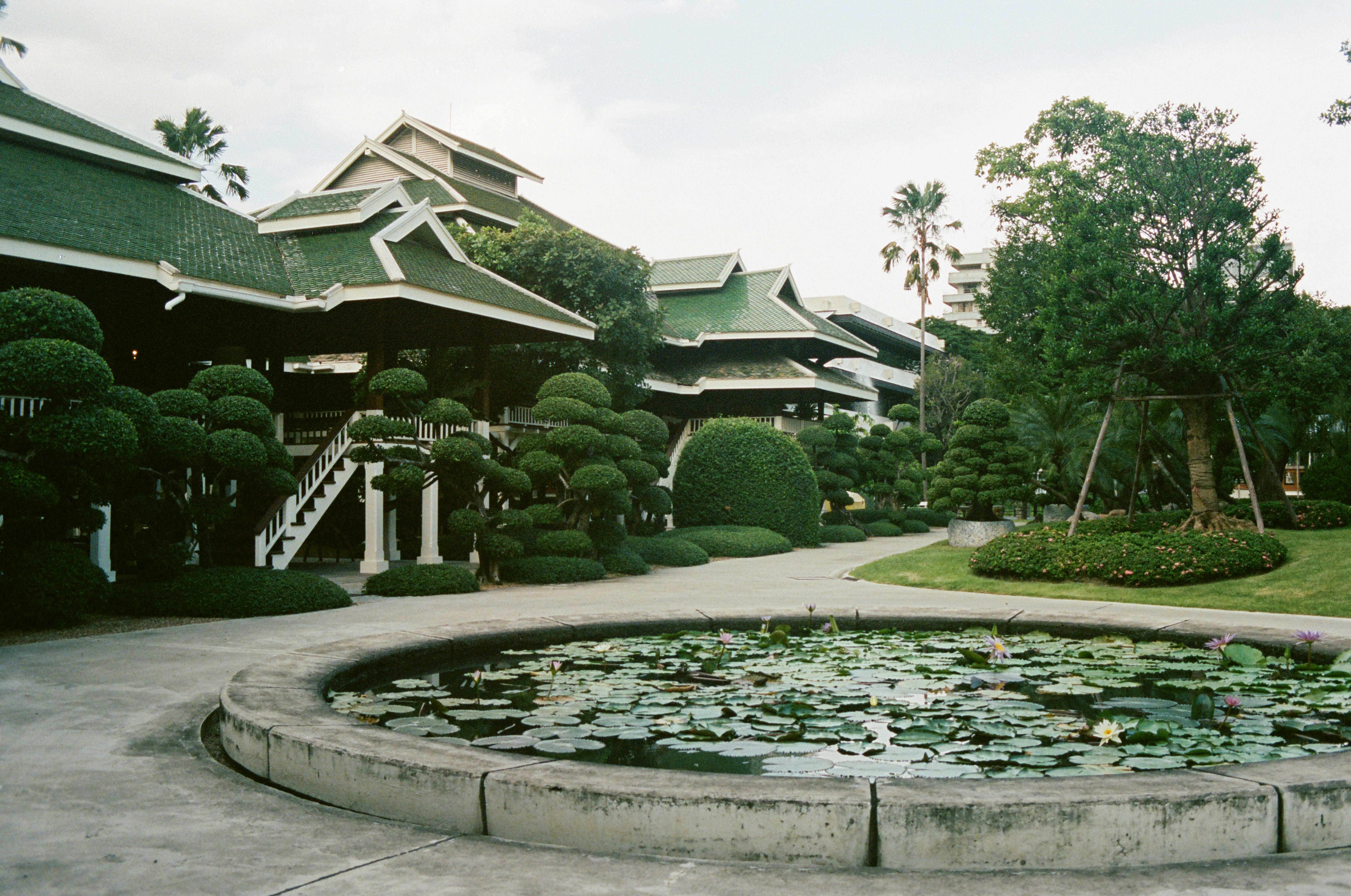 green trees and green plants on gray concrete round fountain