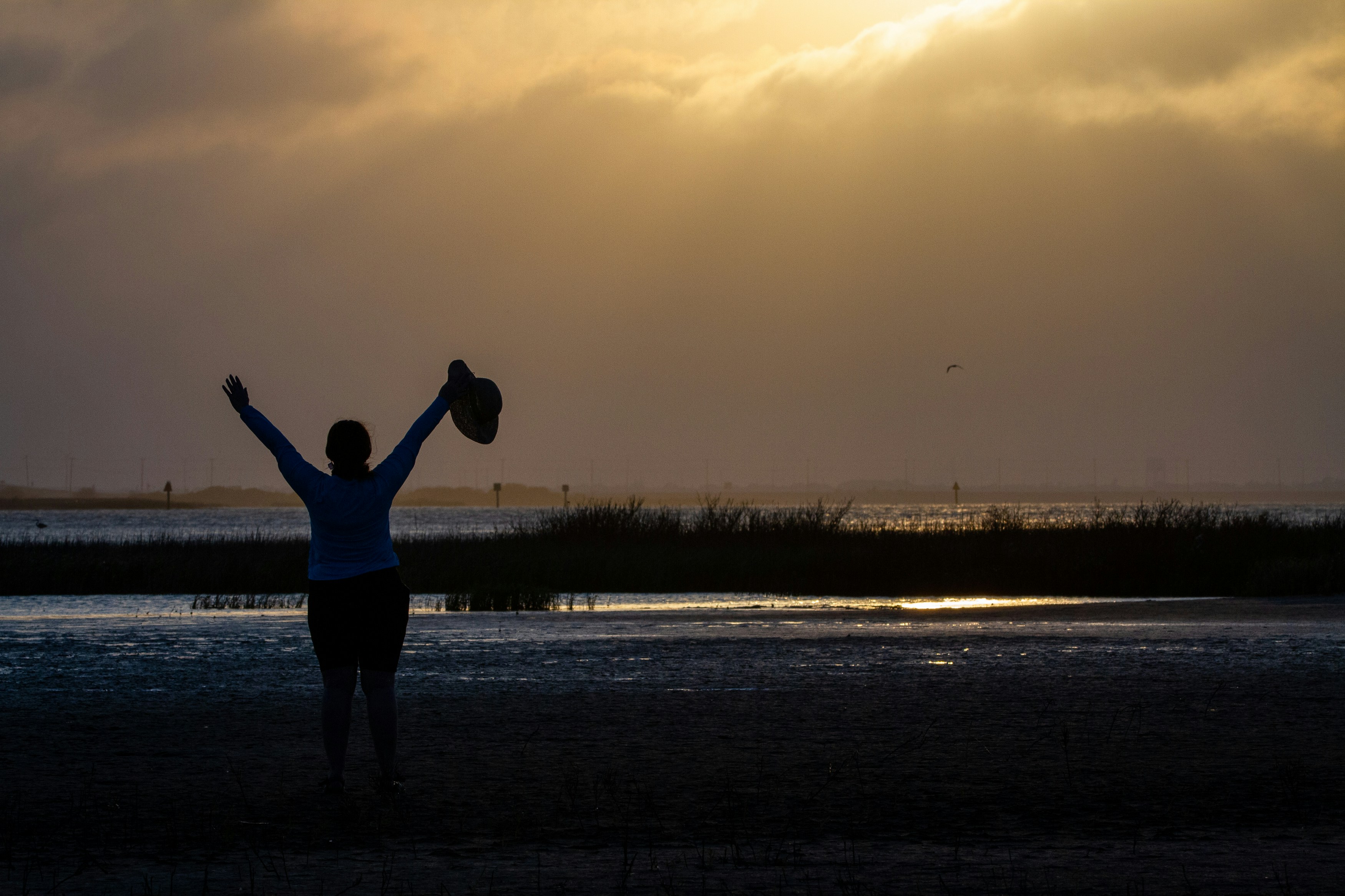 The Wonder of it all