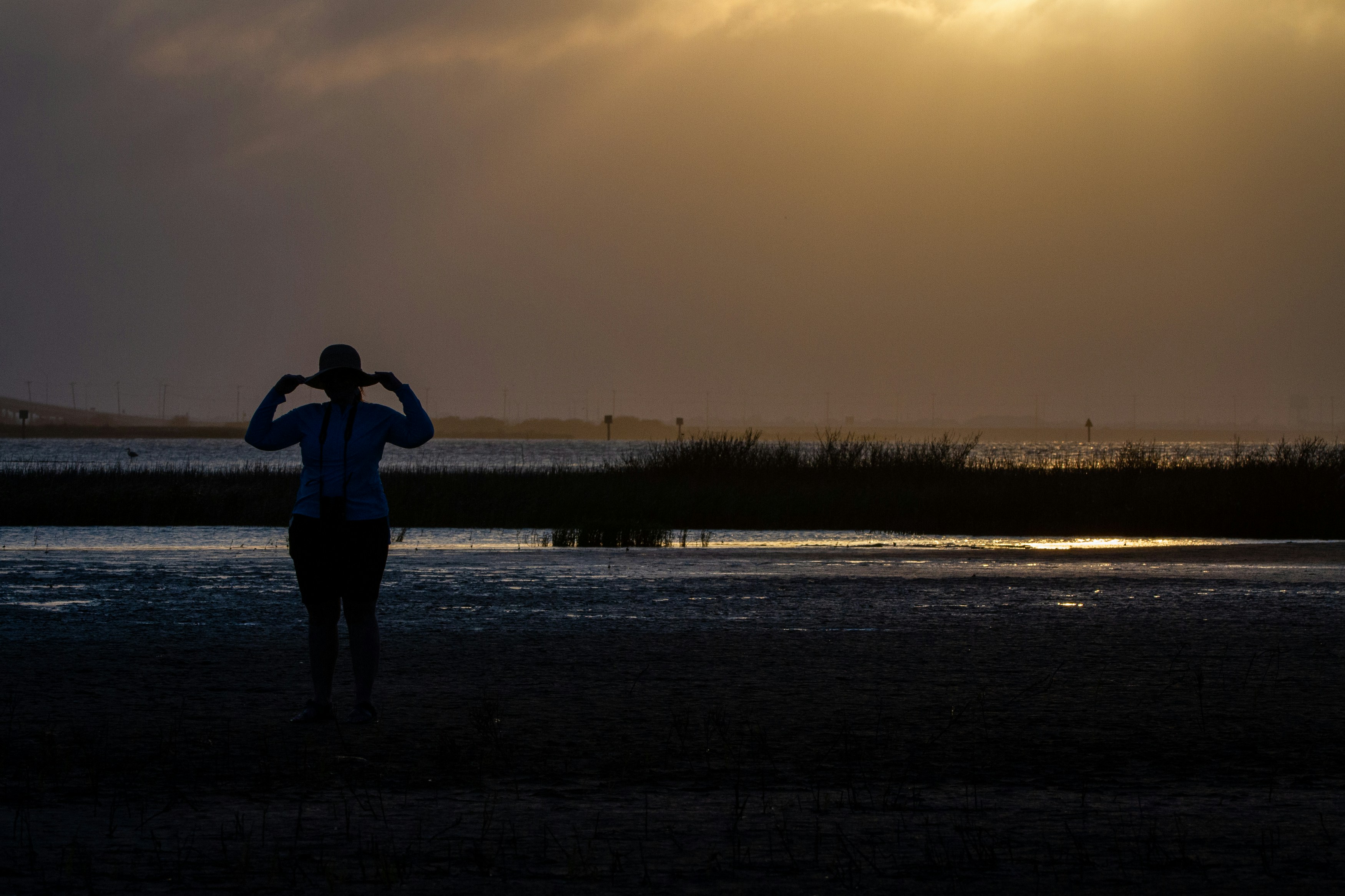 Binoculars on the Beach: How Coastal Birding Became America's Coolest Outdoor Obsession