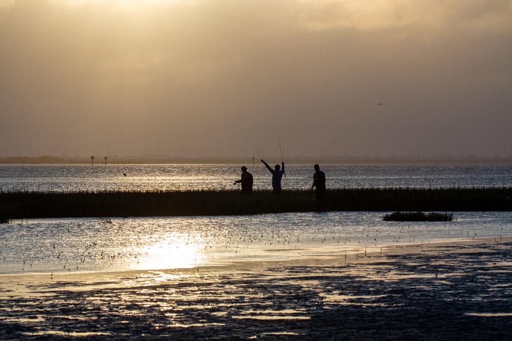 silhouette de personnes sur la plage pendant la journée