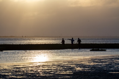 people walking on beach during daytime