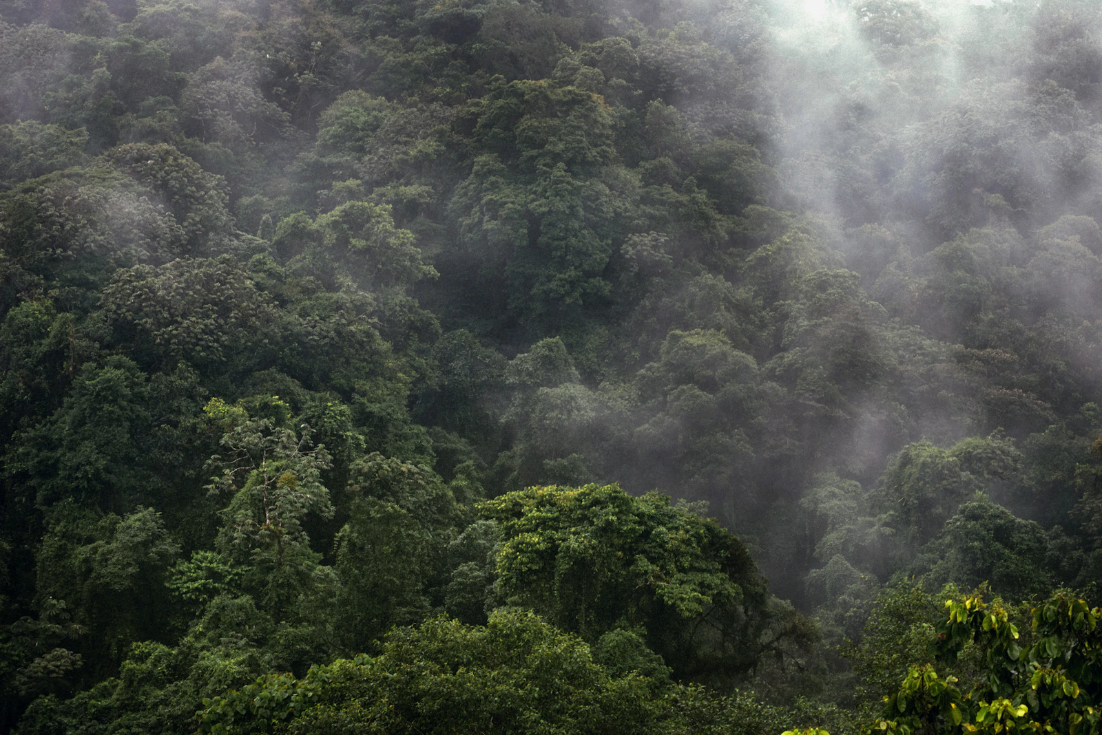 Nayara Tented Camp: Luxury Tents Facing Arenal Volcano