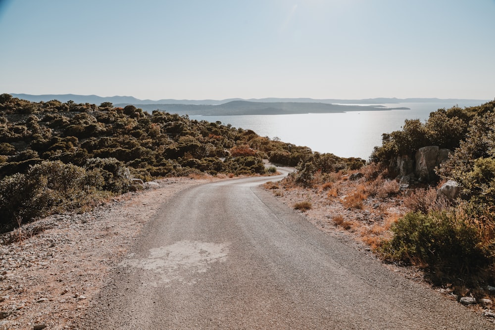 gray concrete road near body of water during daytime