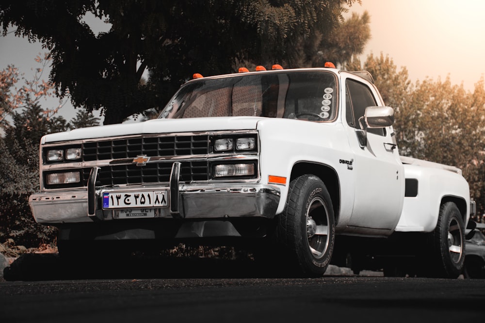 white ford f 150 crew cab pickup truck