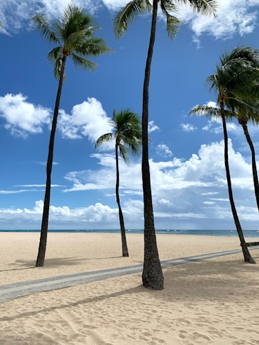 Mango Tree B&B resort