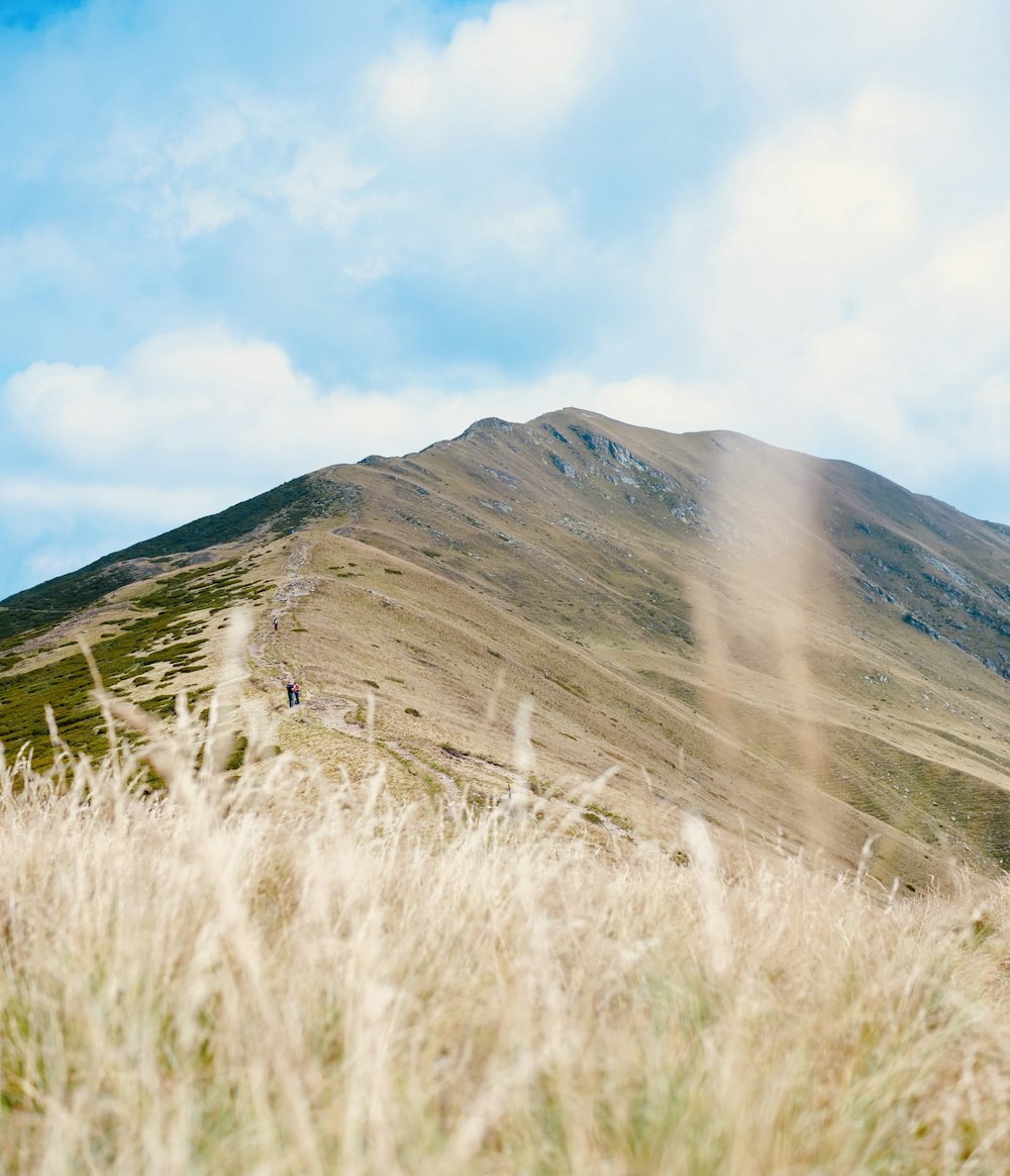 brown mountain under blue sky during daytime