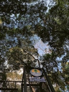 Tall trees with dense green foliage create a natural canopy above. Sunlight filters through the leaves, illuminating the scene with patches of light. A sign is visible, featuring a logo and the text 'Ministry of Environment and Forestry'.