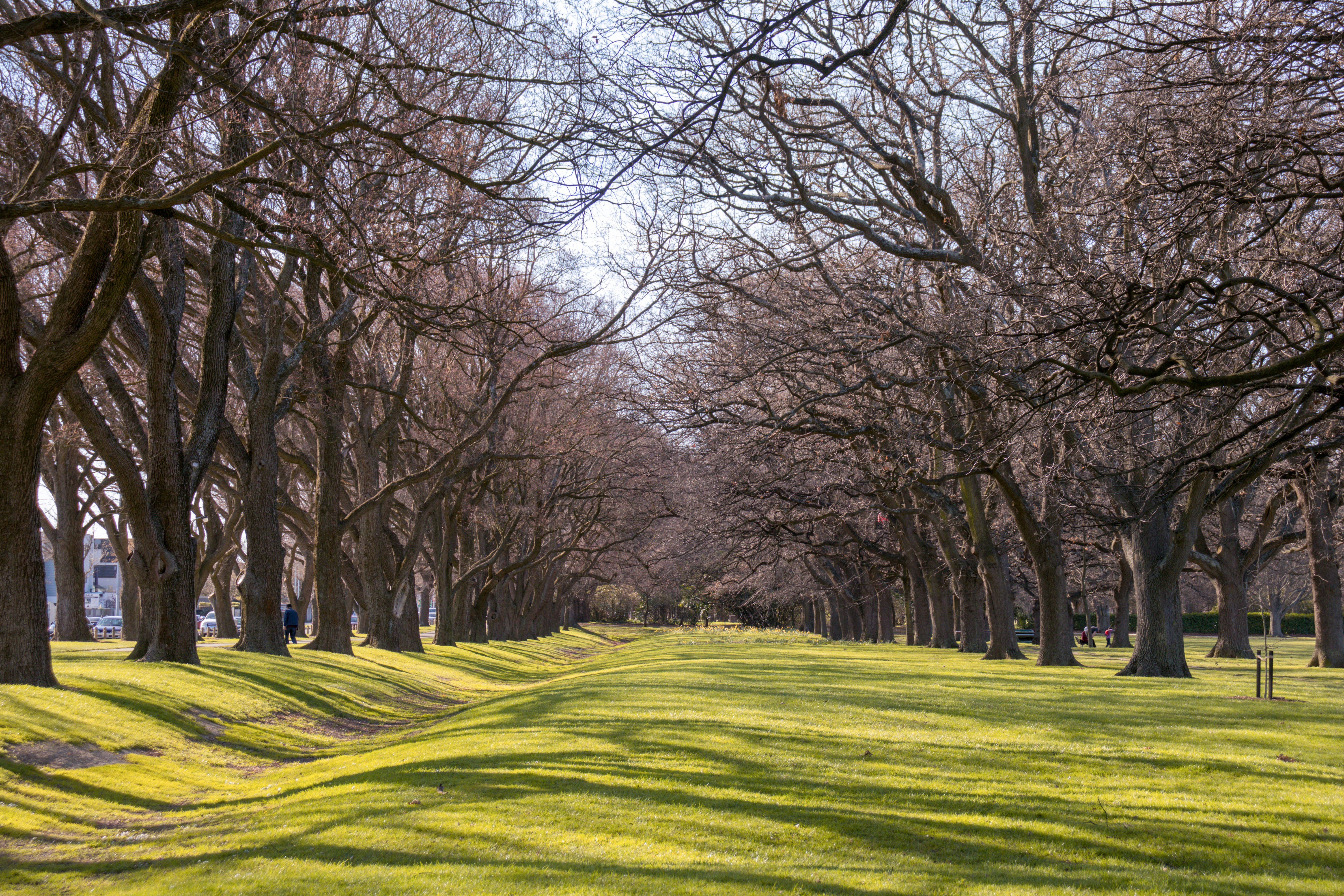 Photo by ravikothiya