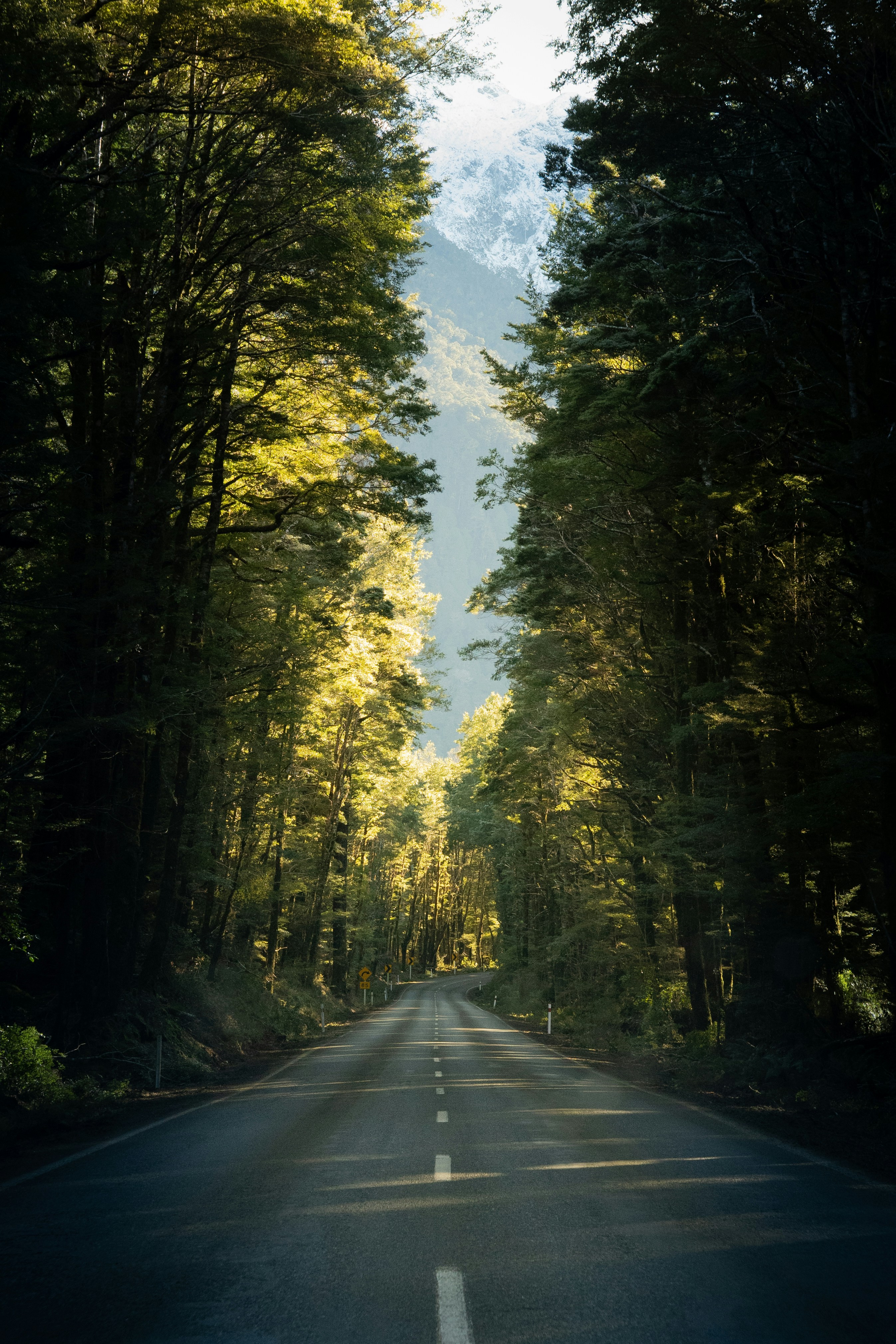 Photo by ravikothiya