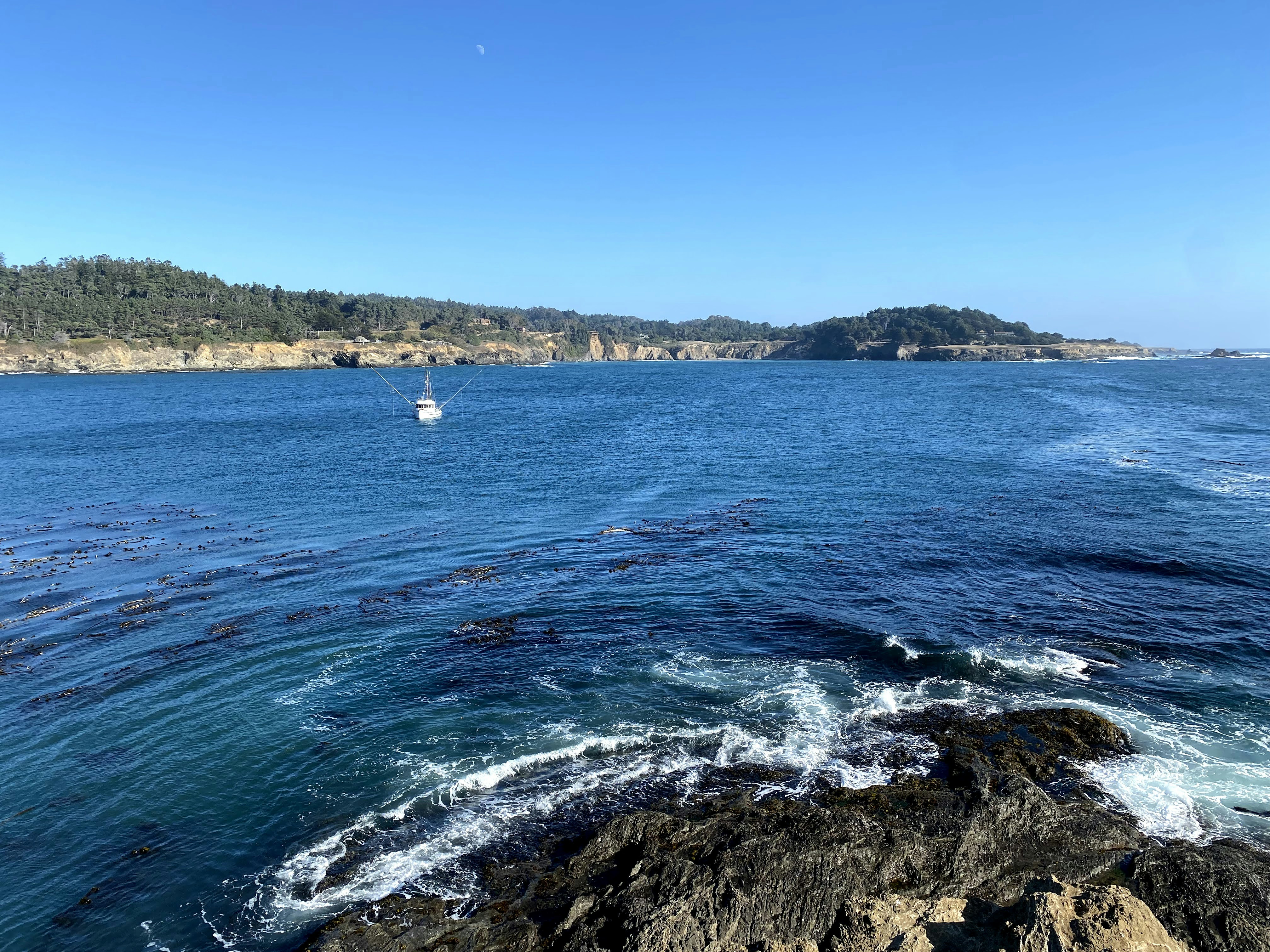 Photo by carlos_wolters