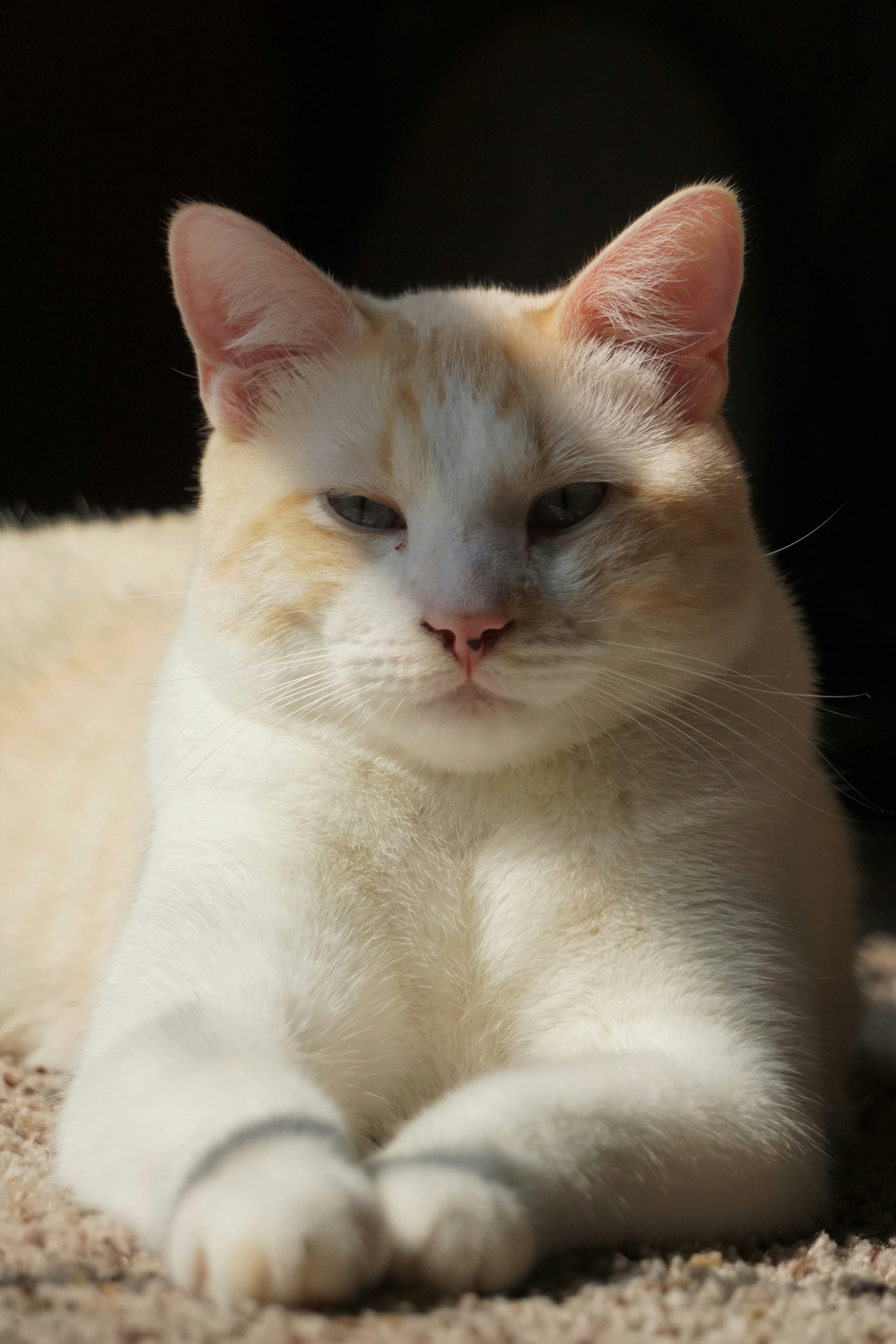 Photo by thejollyllama