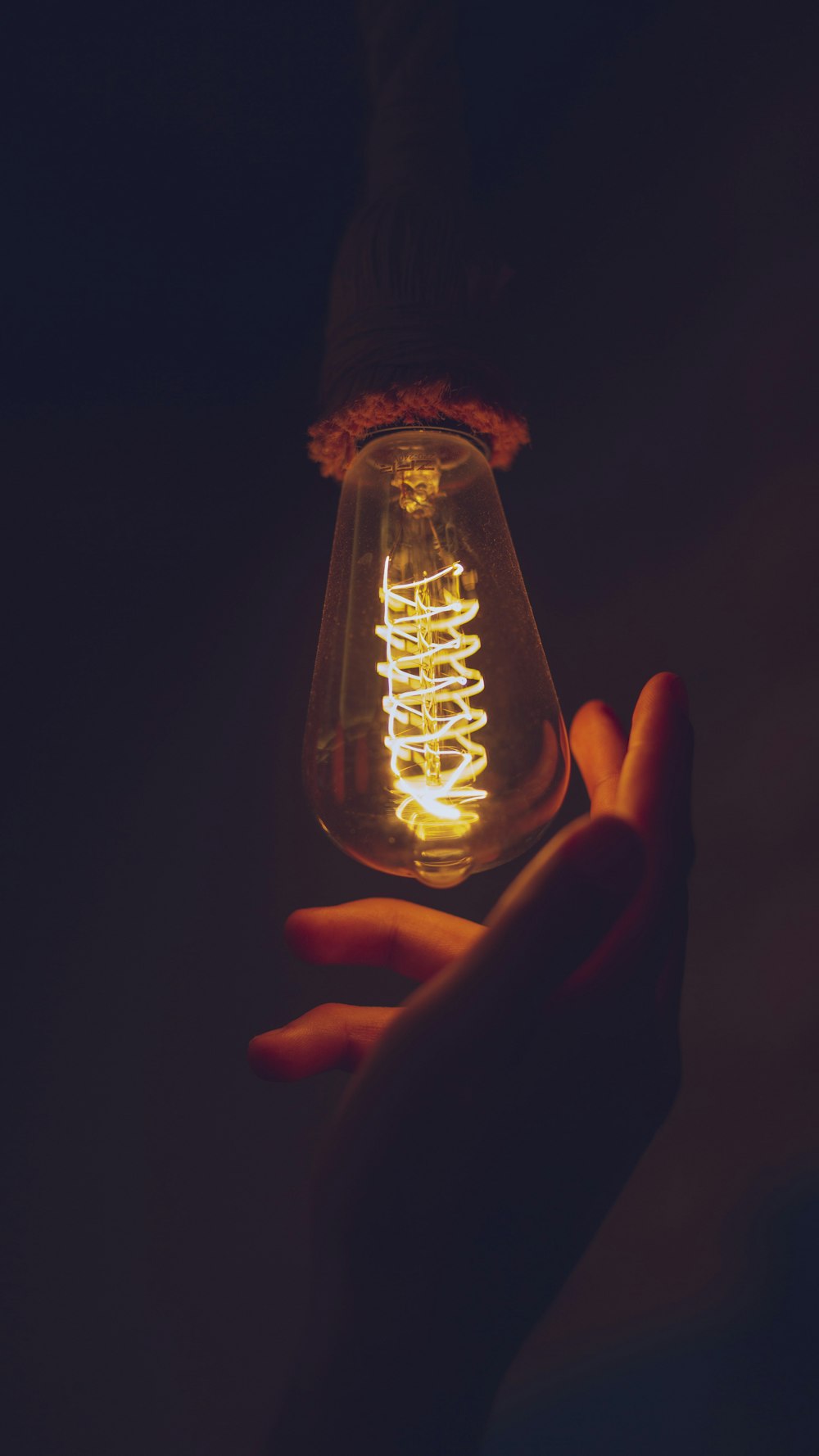 person holding clear glass light bulb