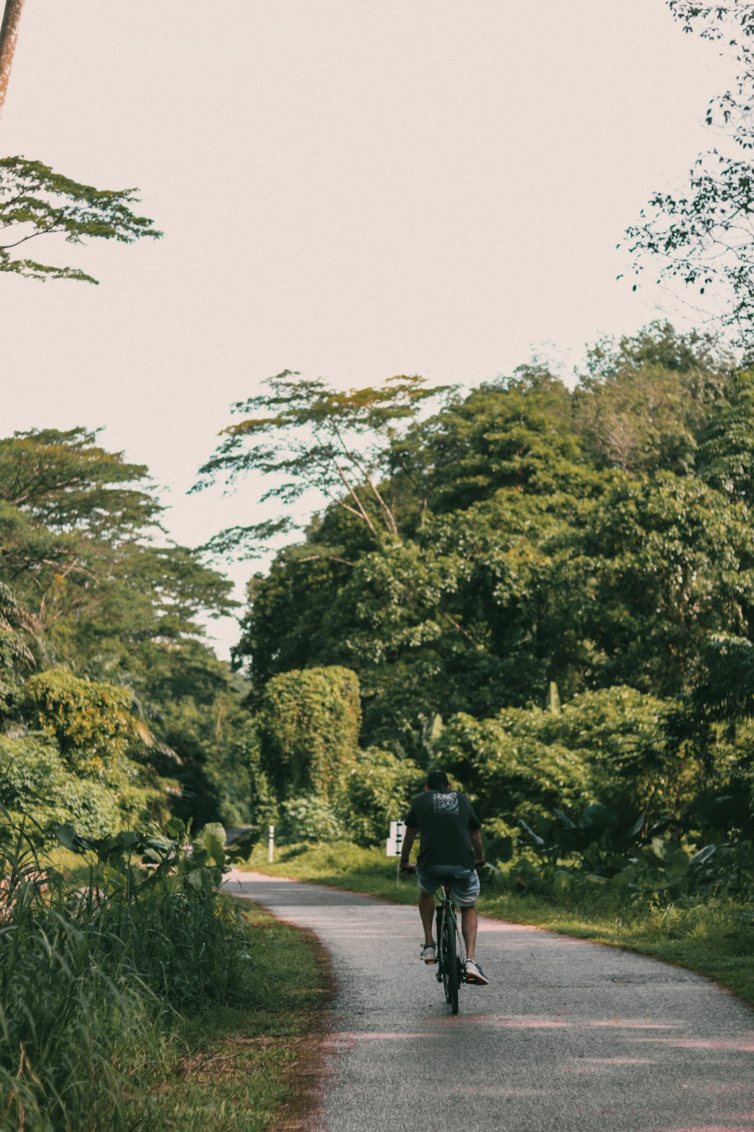 man in black shirt riding bicycle on road during daytime