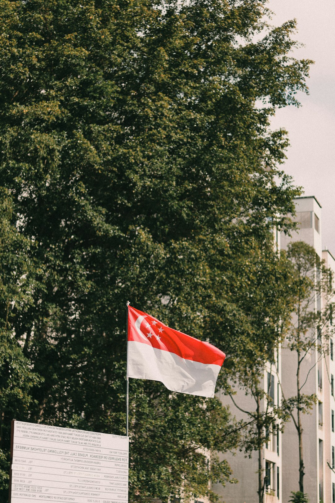 red and white flag on pole