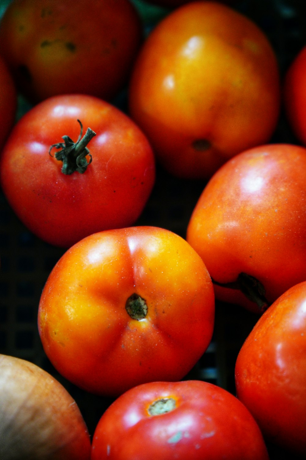 rote und gelbe Tomaten auf braun geflochtenem Korb