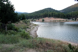 A calm lakeside scene symbolizing steady and peaceful growth.