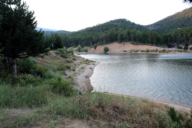 A calm lakeside scene symbolizing steady and peaceful growth.