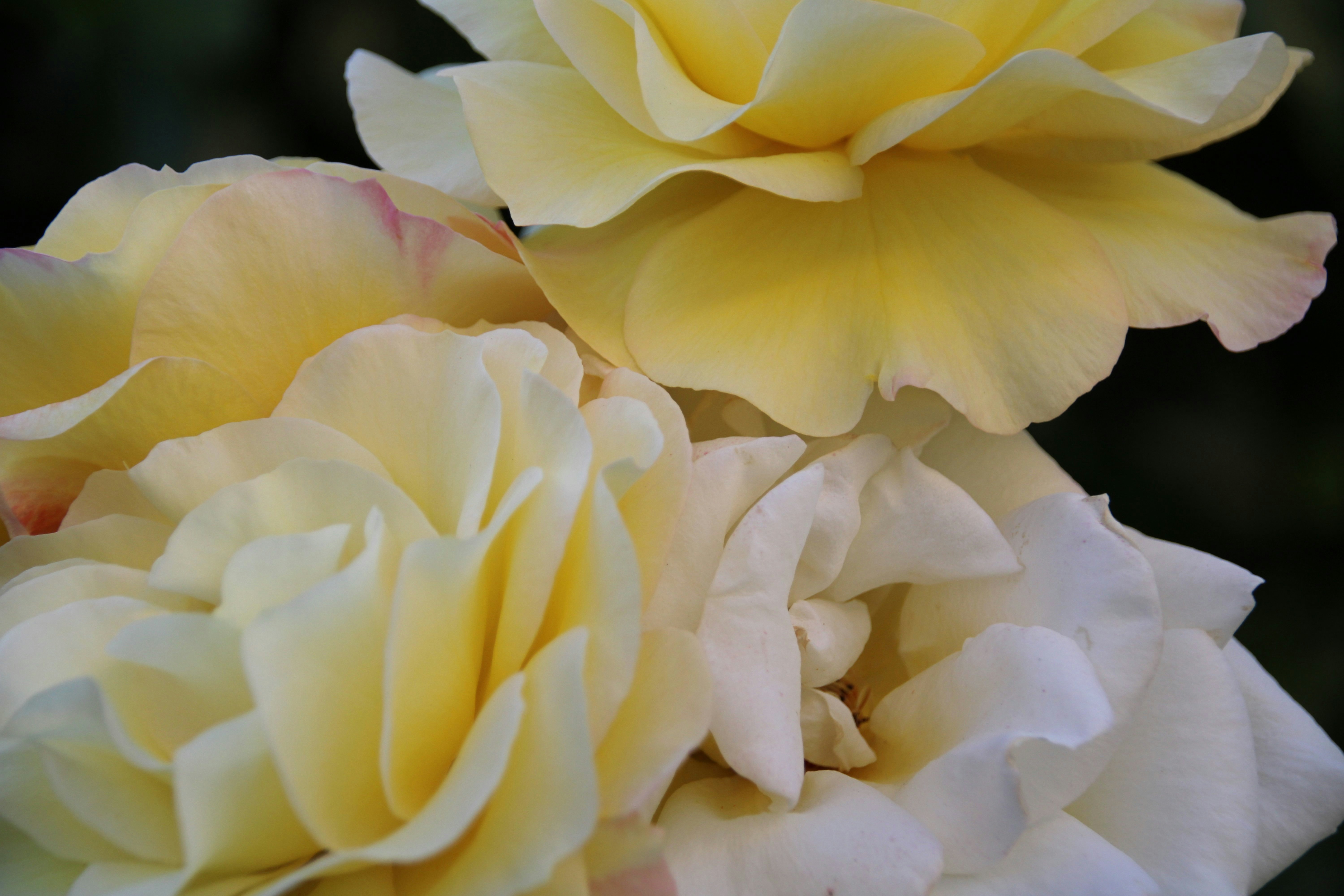 Photo by matt_alazia