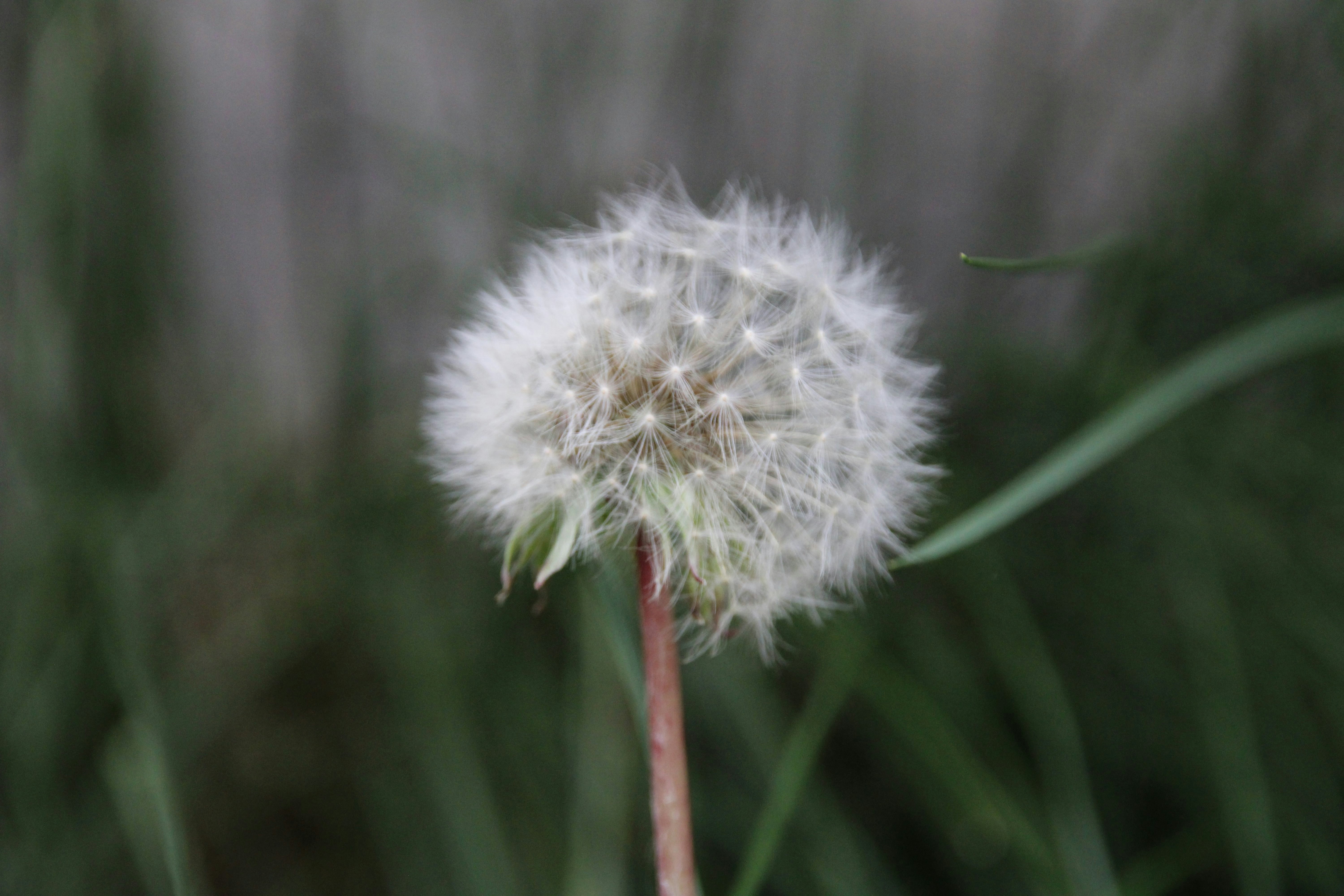 Photo by matt_alazia