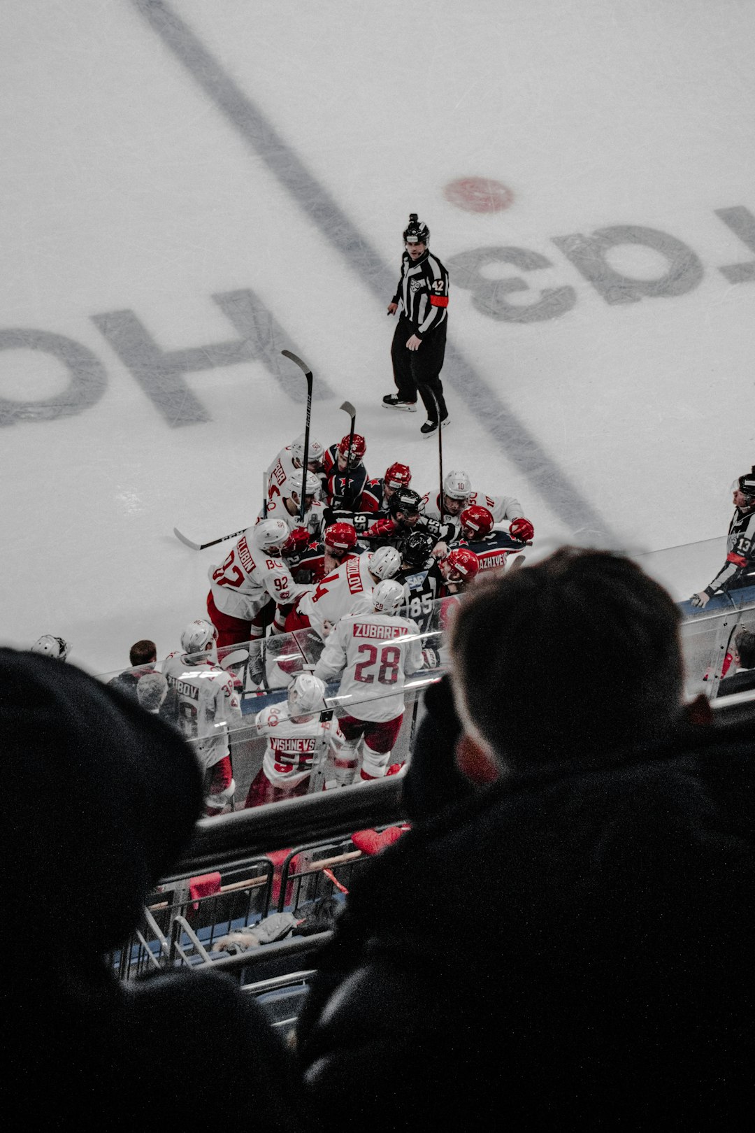 people in ice hockey stadium