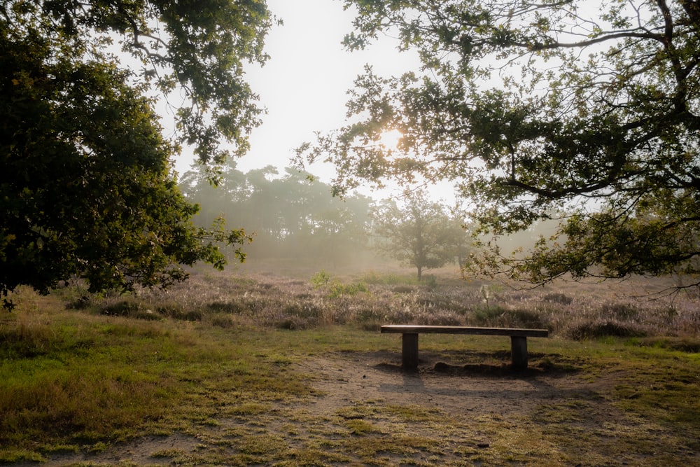 Banc en bois brun sur un champ d’herbe verte près d’arbres verts pendant la journée