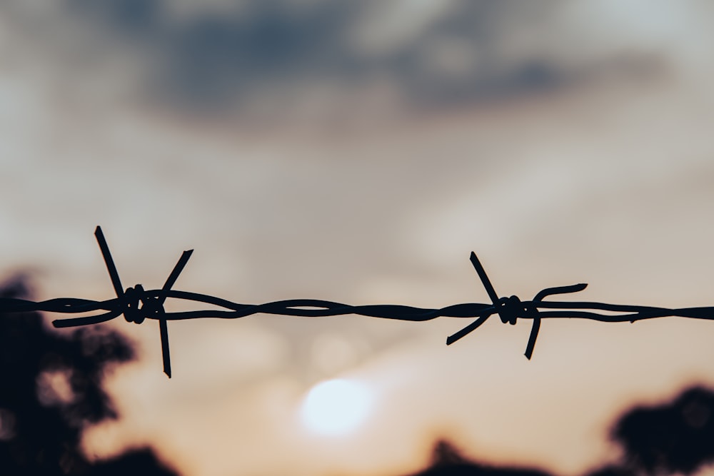 black barb wire in close up photography