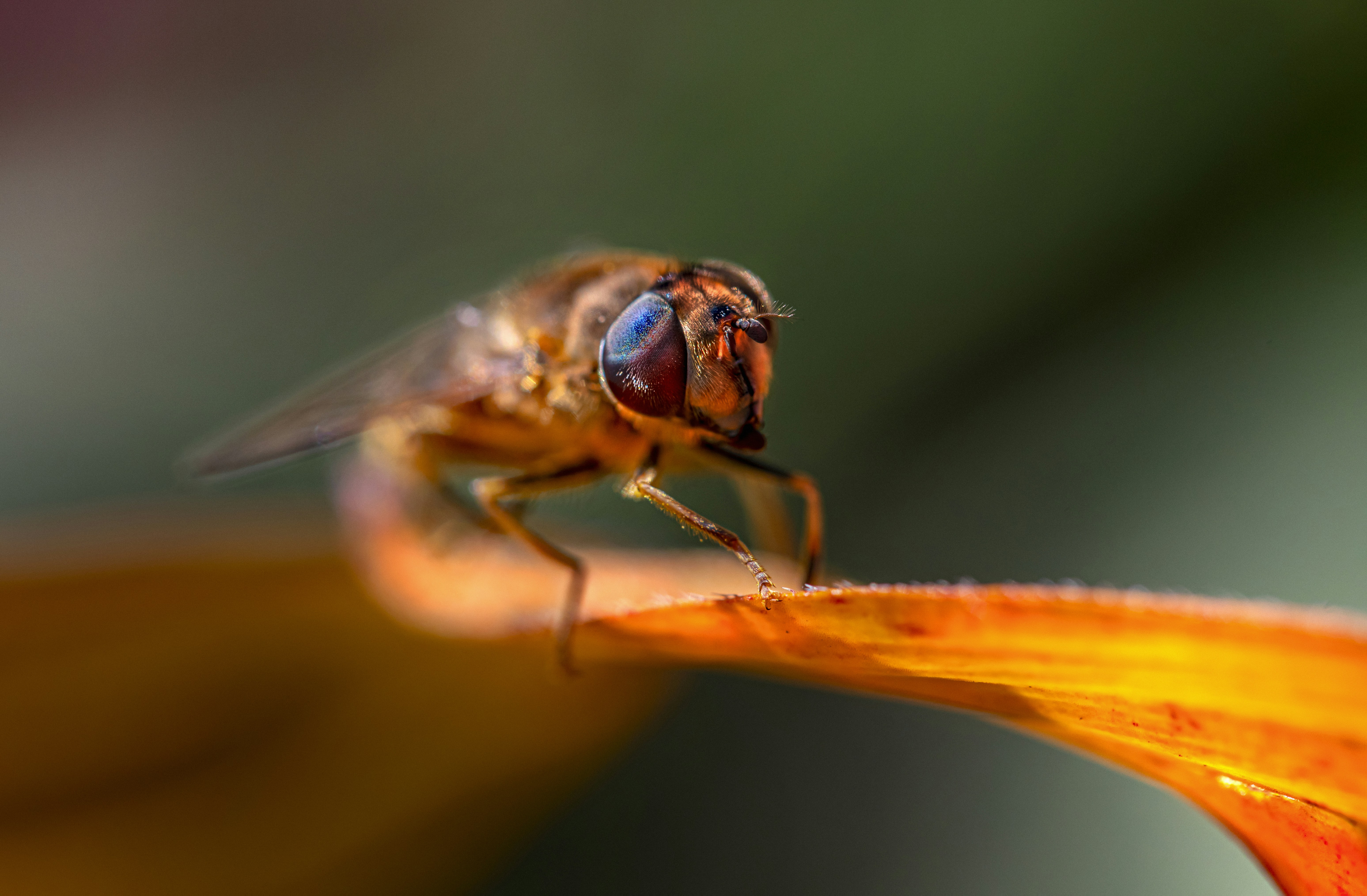 Photo by erik_karits