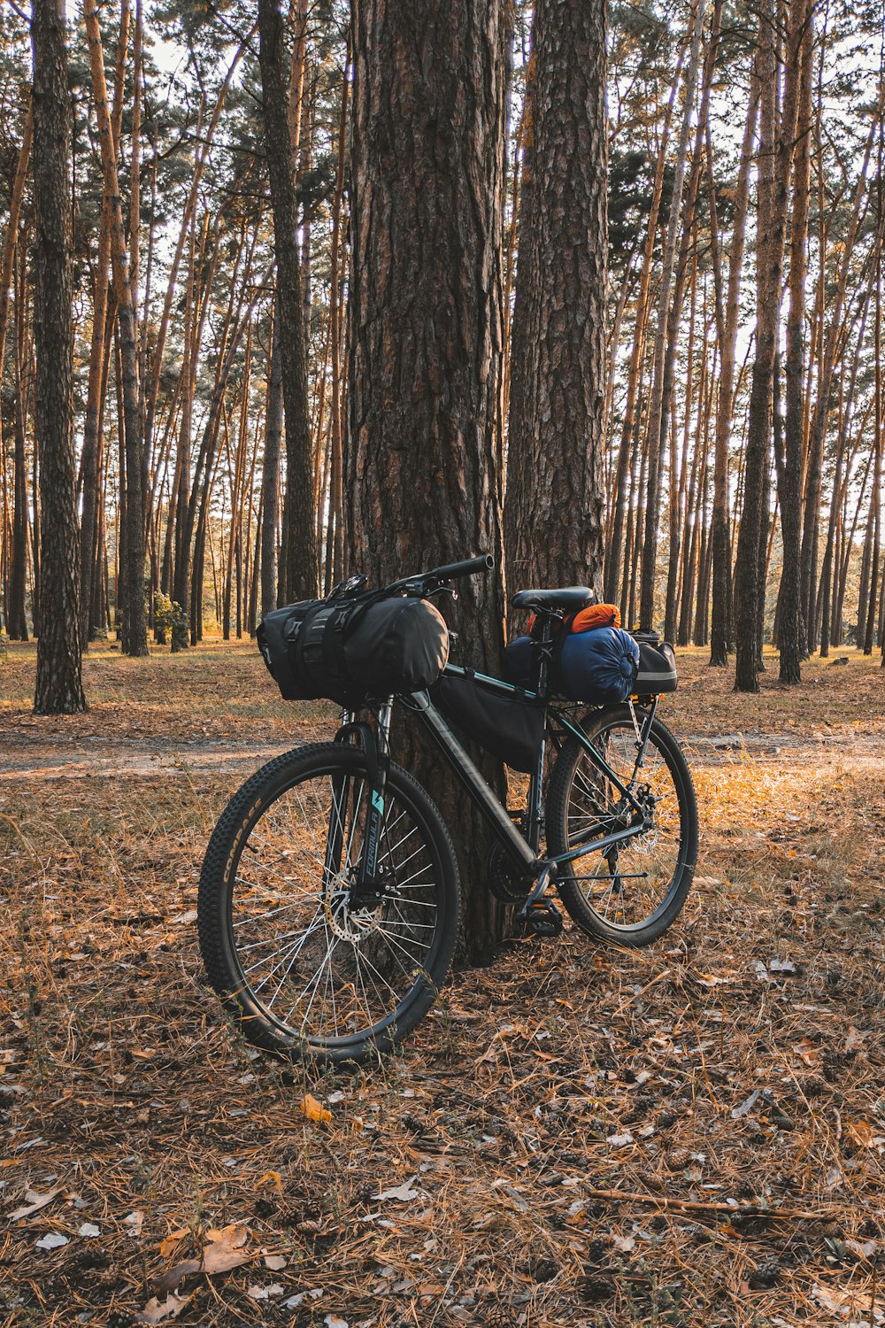 man in black jacket and blue denim jeans sitting on black bicycle on brown field surrounded