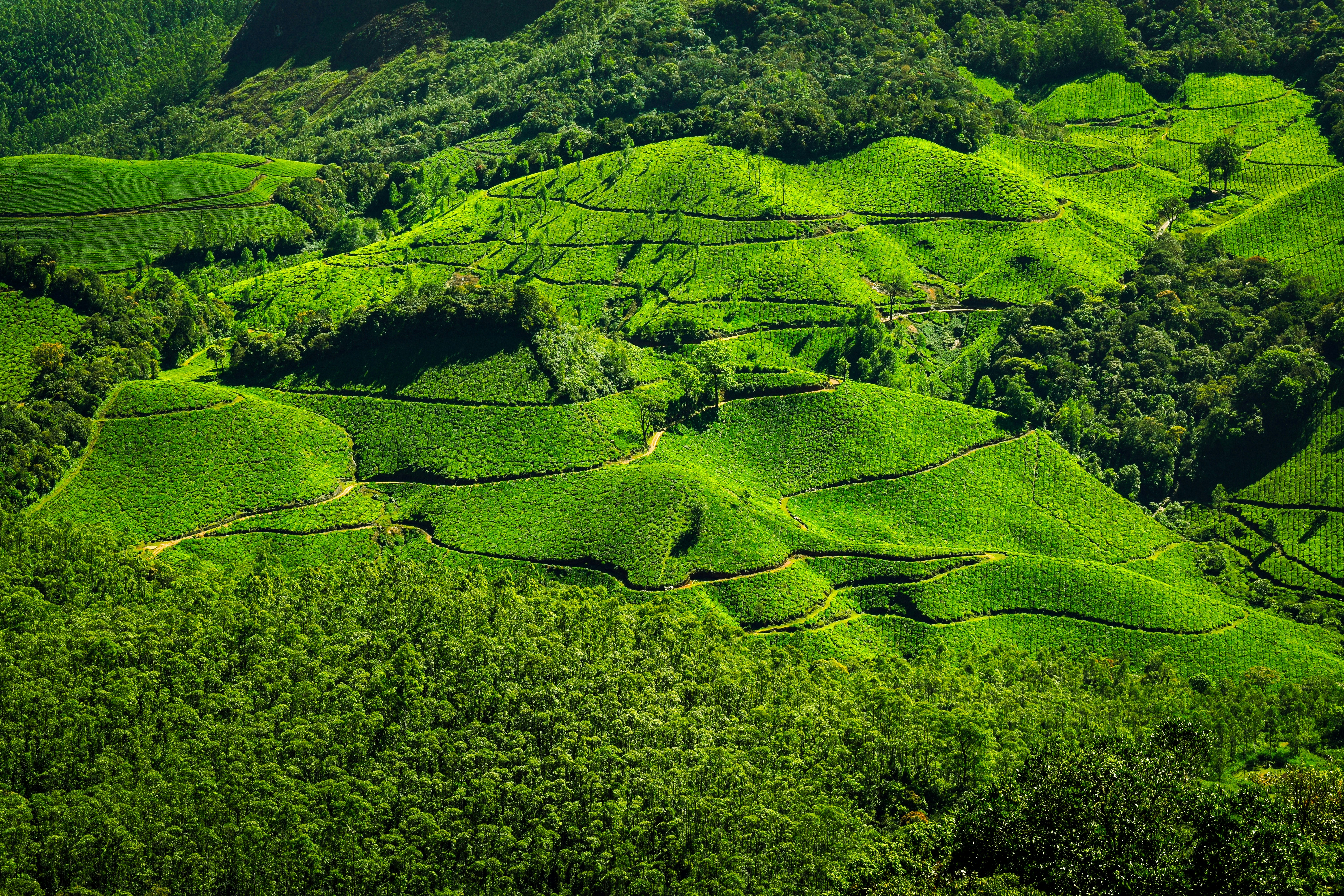 Photo by navi_photography