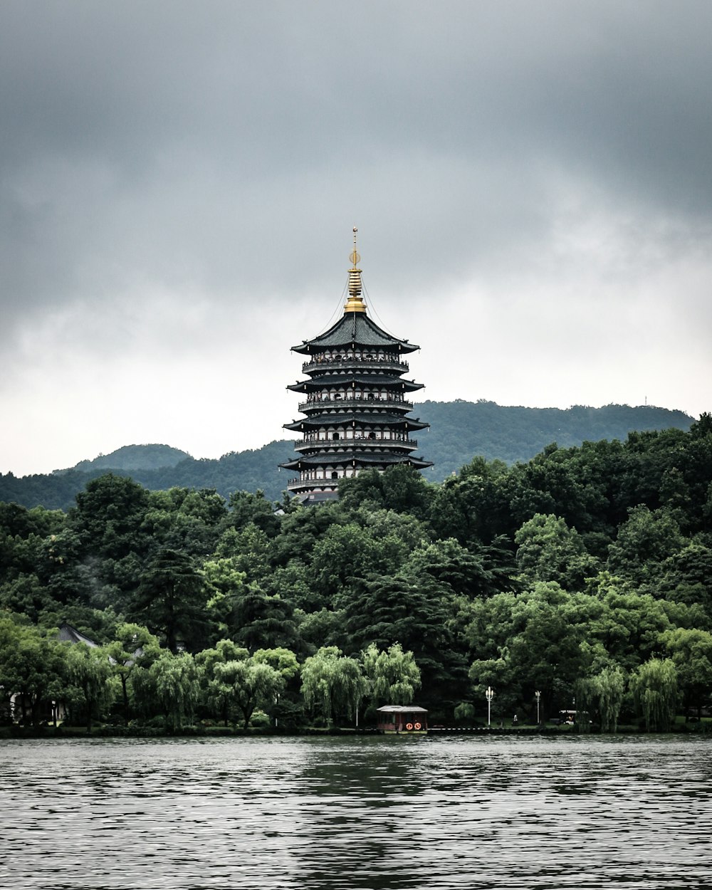 日中の水域近くの緑の木々