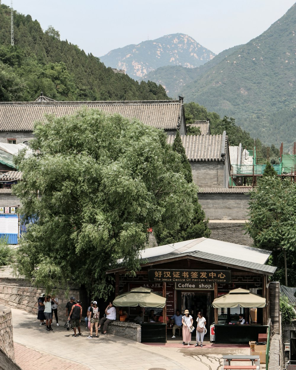 people walking on street near green trees and buildings during daytime