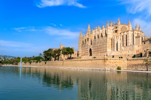 Palma