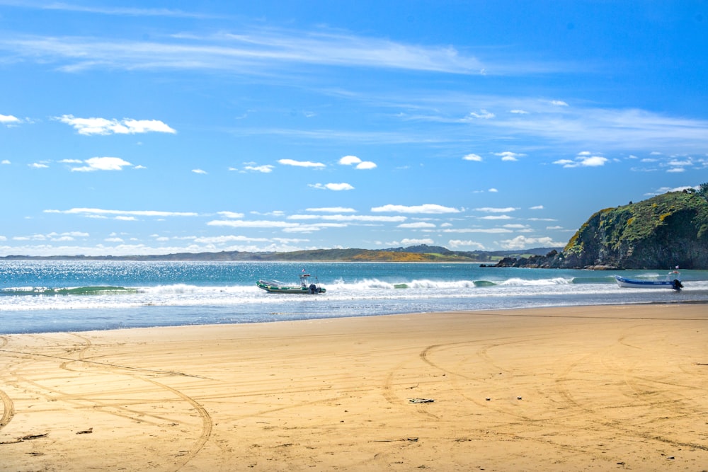 people on beach during daytime