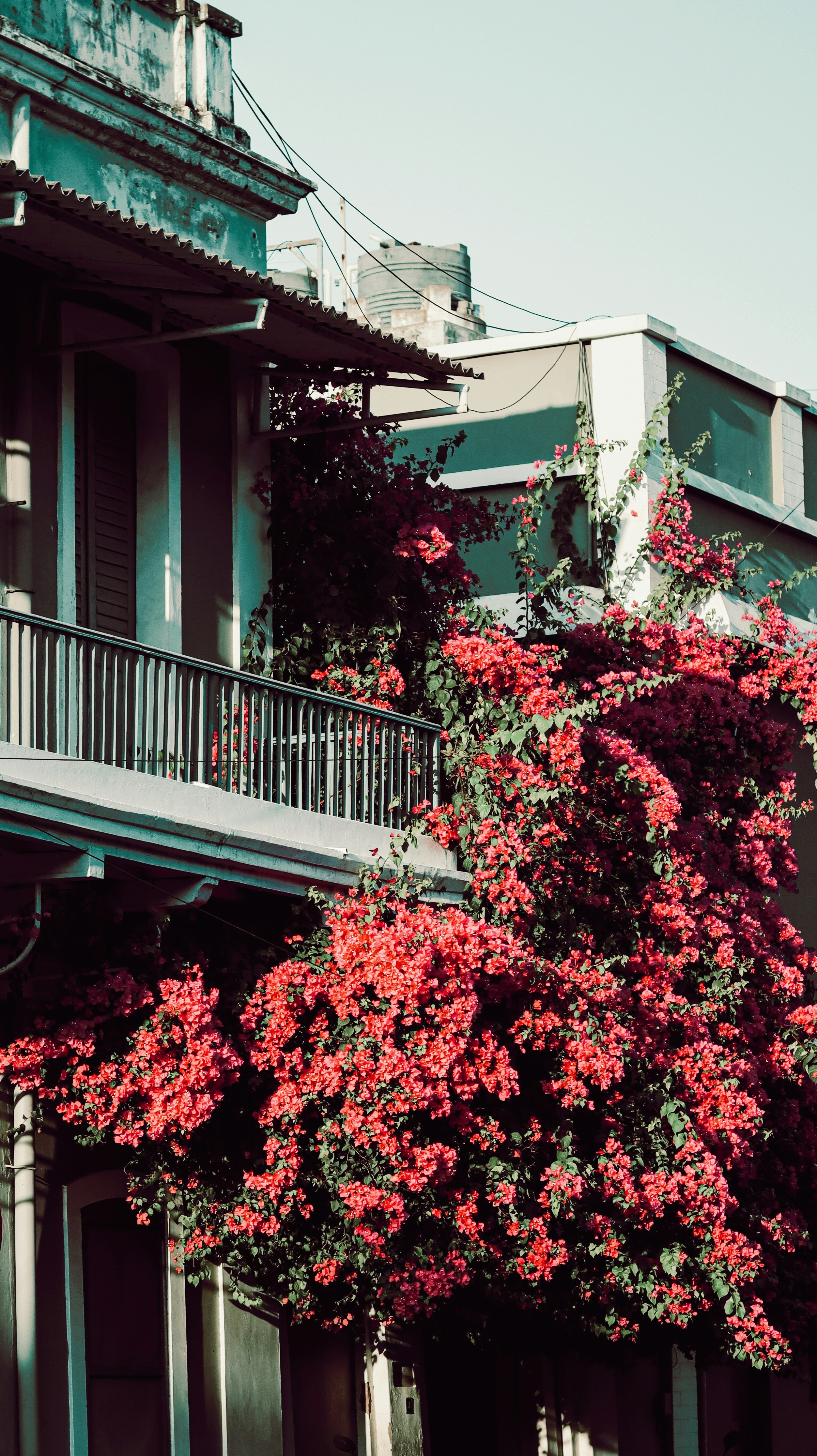 Photo by dhilipantony