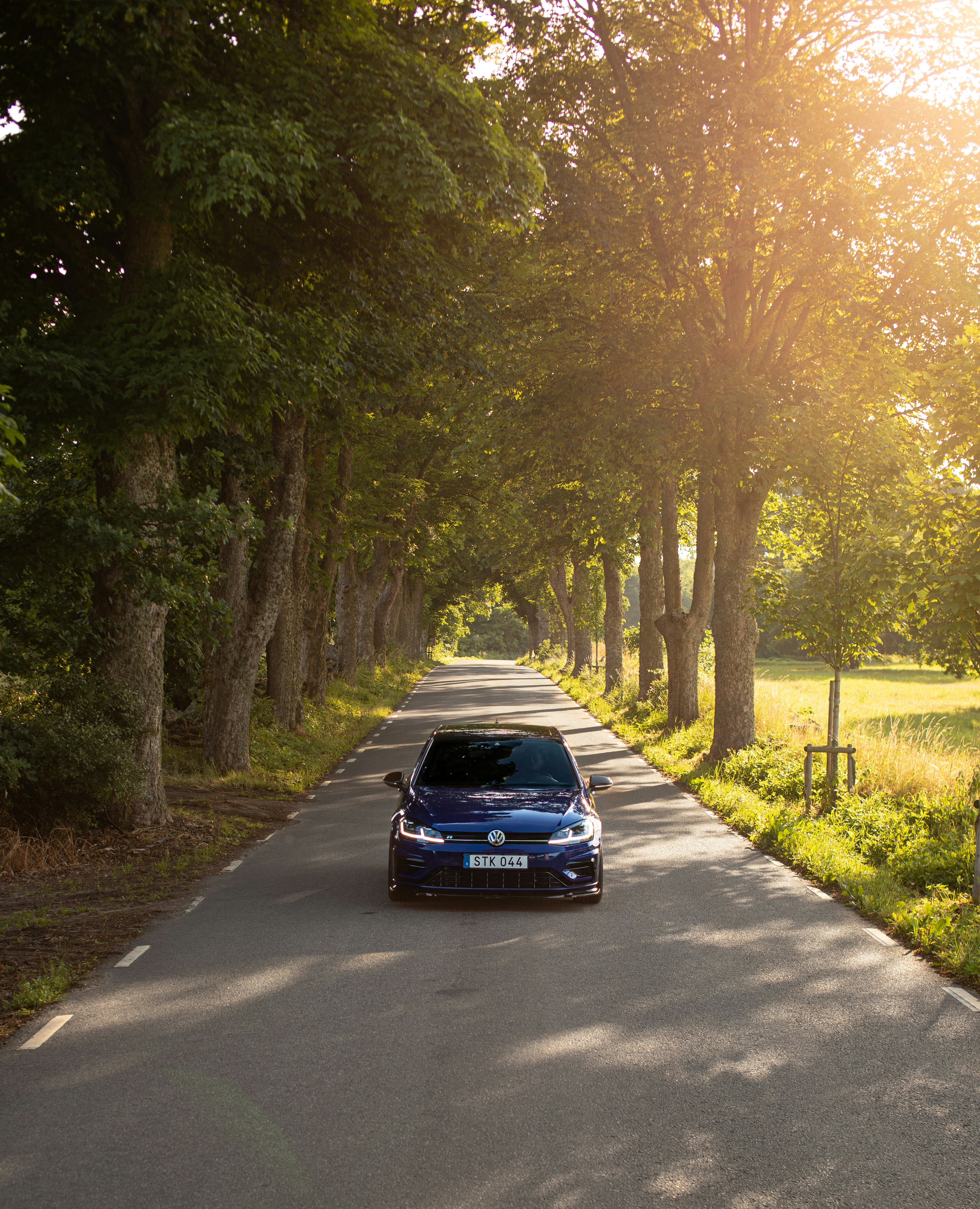 blue car on road between trees during daytime
